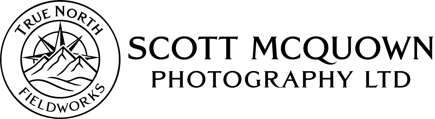 Scott McQuown (Matthew Scott McQuown) - Fine Art Photographer