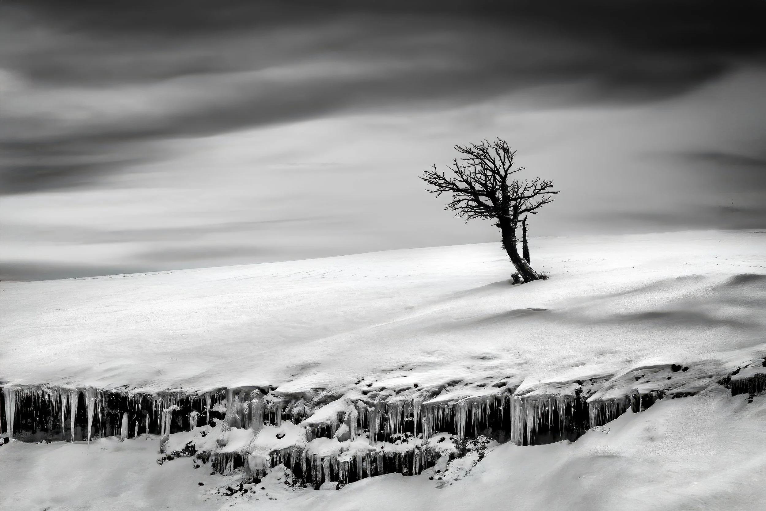 Elegy to a Lone Tree