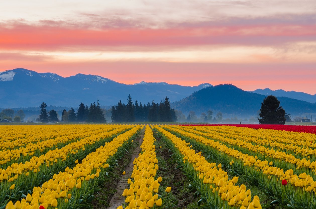 iStock-452544025.jpg