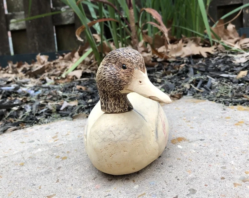 A decorative wooden duck figurine placed on a concrete surface outdoors, with plants and a wooden fence in the background.