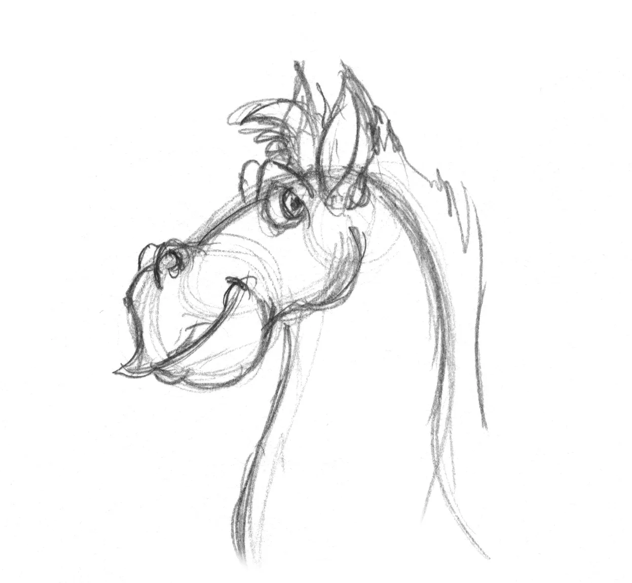 Cowboy Calhooty_steed_03.webp