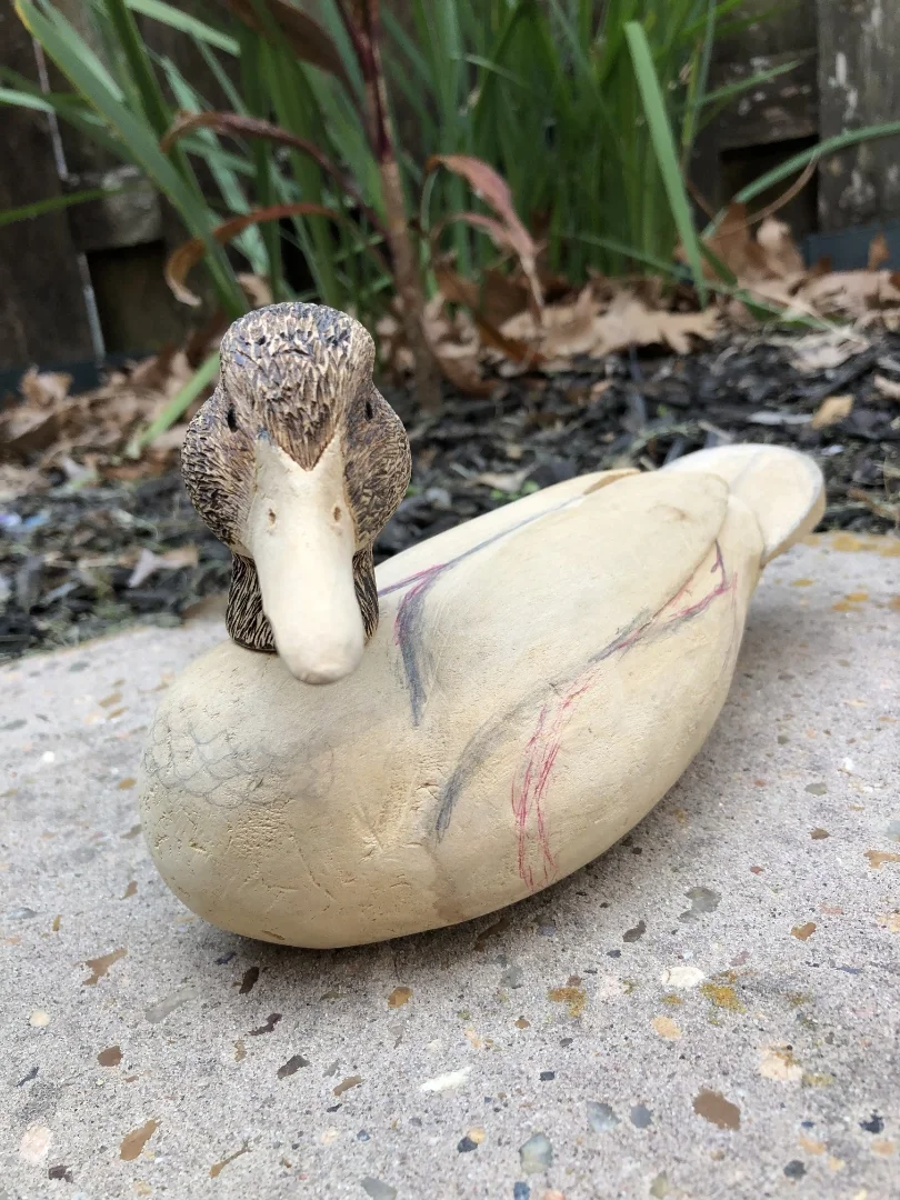 A decorative duck sculpture with a carved wooden duck's head attached to a beige body, placed outdoors on a concrete surface with plants and a wooden fence in the background.