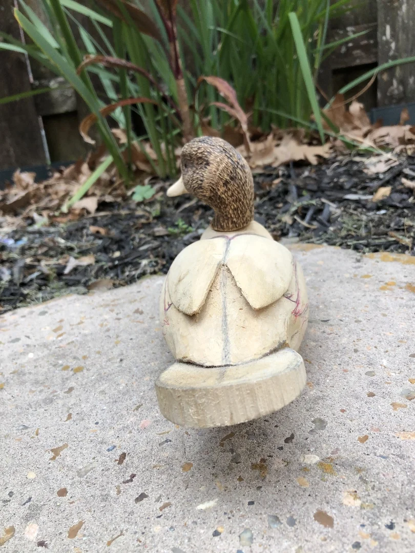 Wooden sculpture of a duck with a carved body and a real duck head attached, positioned on a concrete surface with plants and leaves in the background.