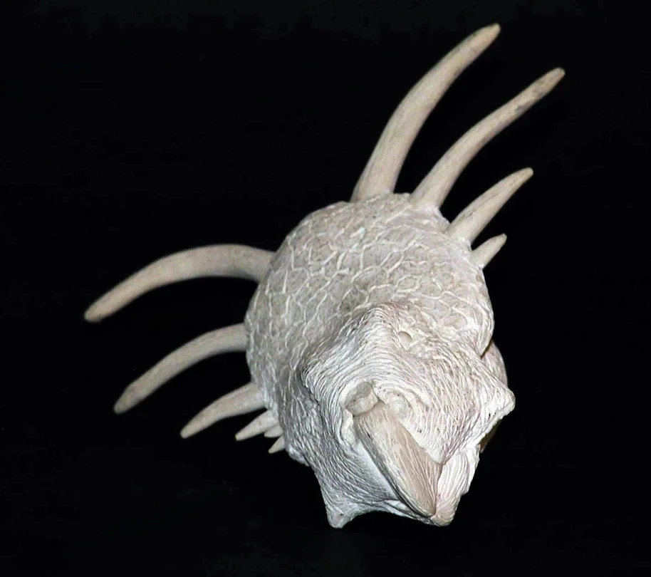 A detailed sculpture resembling a bird with a large head, beak, textured body, and multiple elongated spikes resembling feathers or quills on its back, set against a black background.