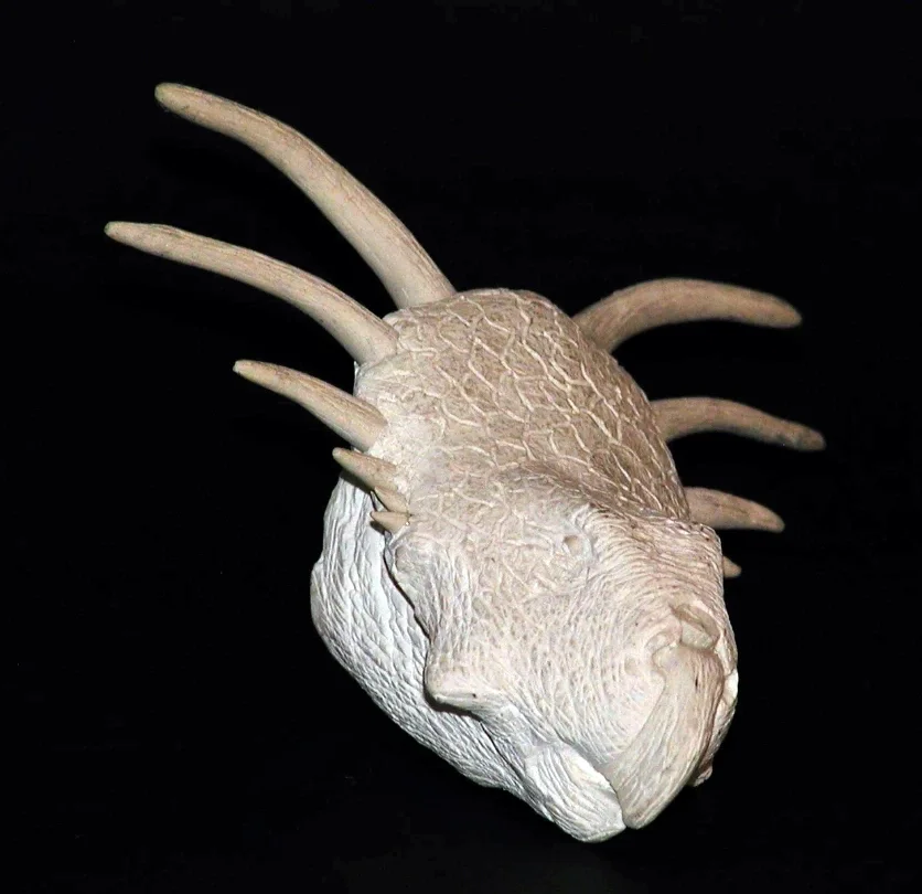 A carved sculpture of a cat's head with multiple elongated horns protruding from the top, made of a light-colored material against a black background.