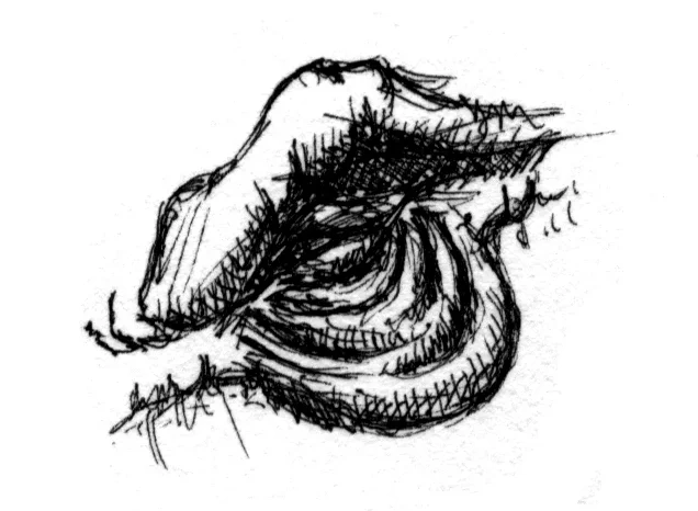 Keru_lifeforms_04.webp