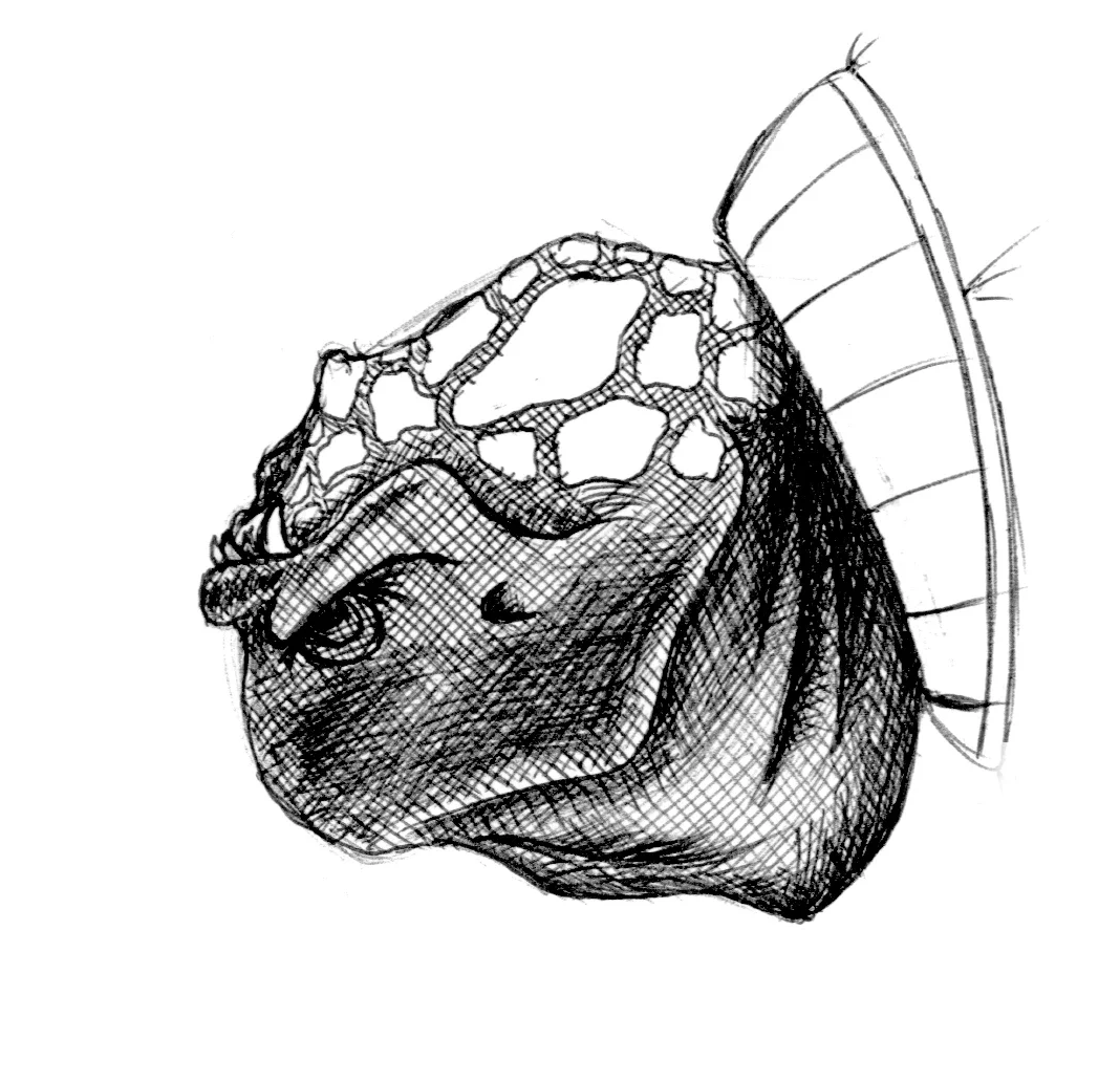 Keru_lifeforms_09.webp