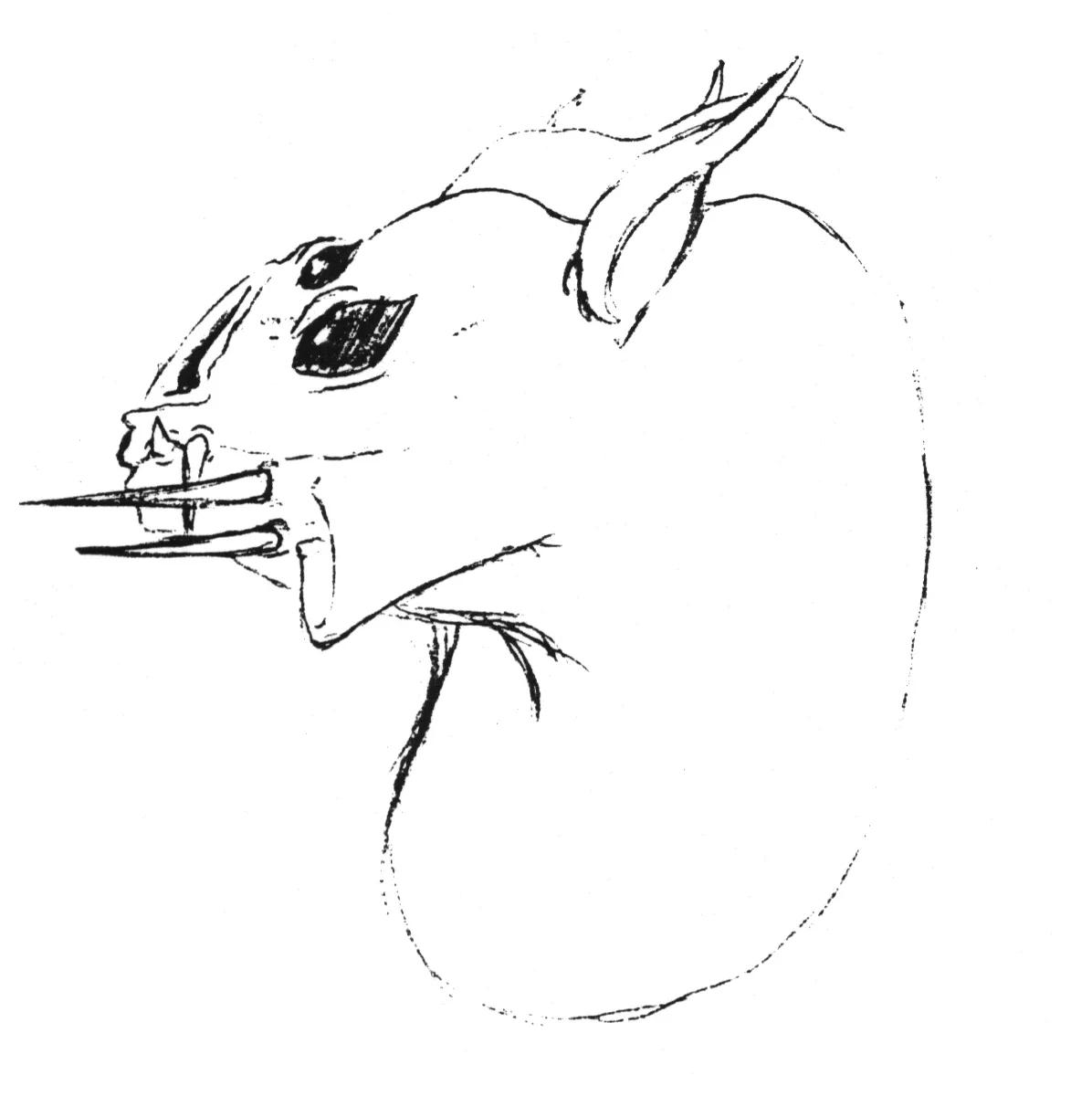 DragonBeast_03.webp
