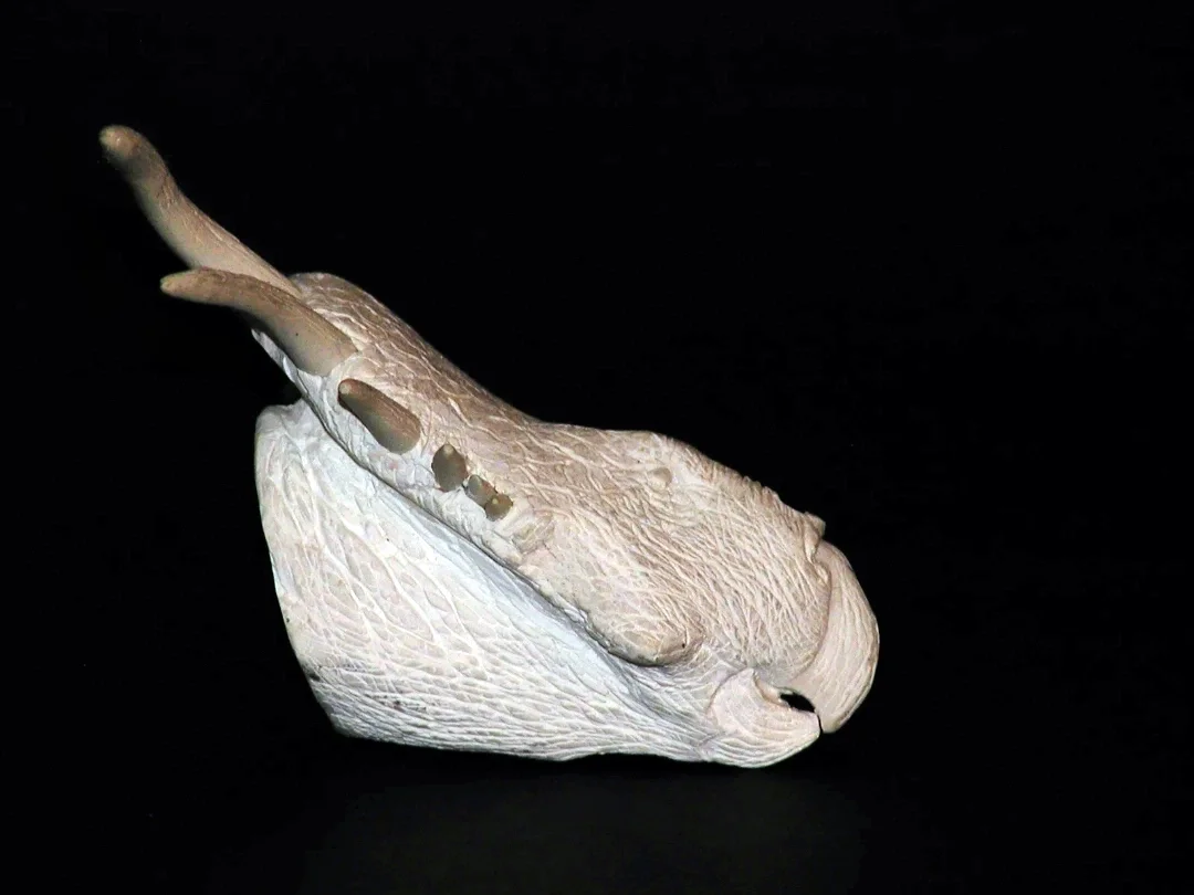 A detailed close-up of a unicorn-shaped figurine, showing textured surface and hollow holes, set against a black background.