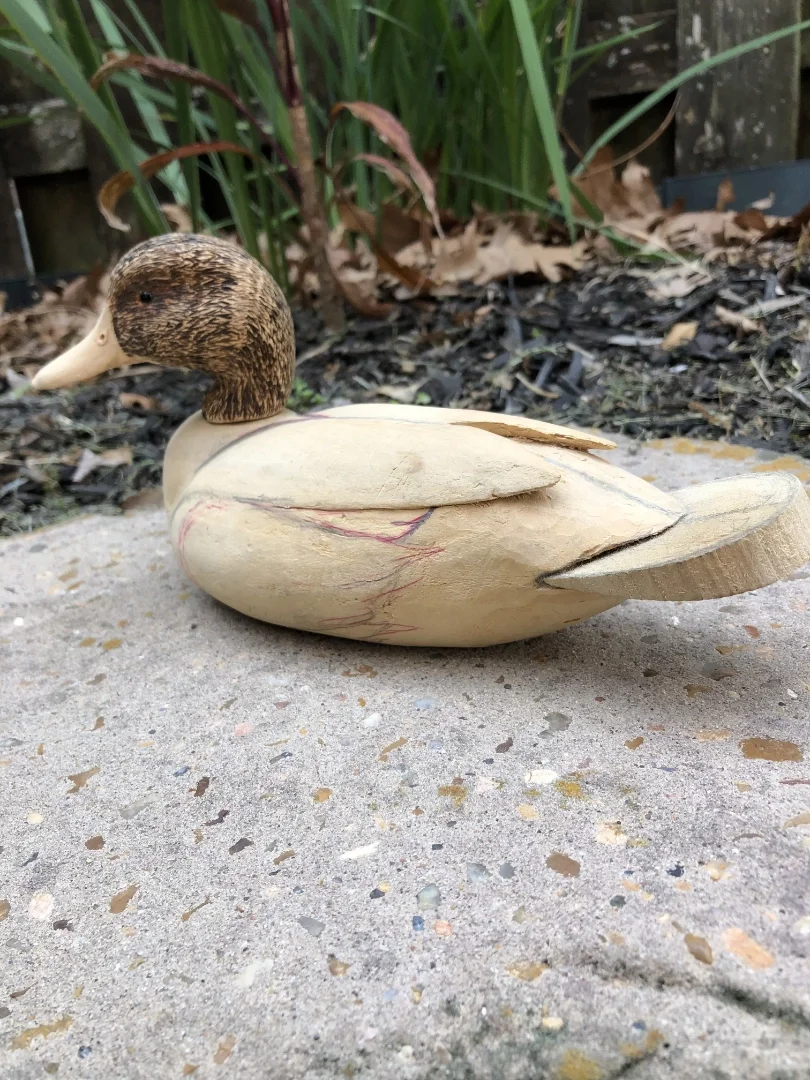 Carved wooden duck figurine on a concrete surface with plants and fallen leaves in the background.