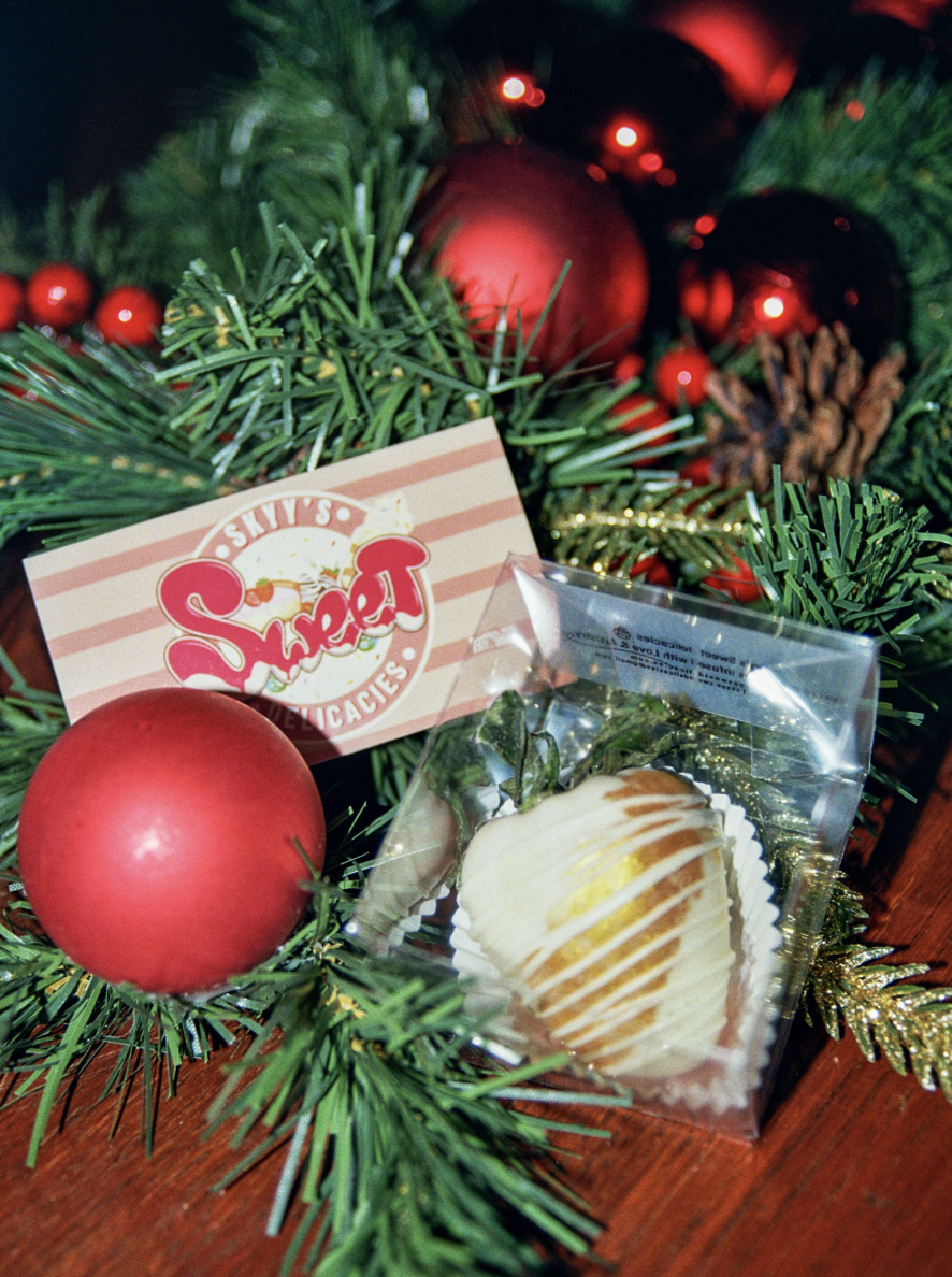 Screen Shot 2025-12-24 at 11.23.39 AM.png