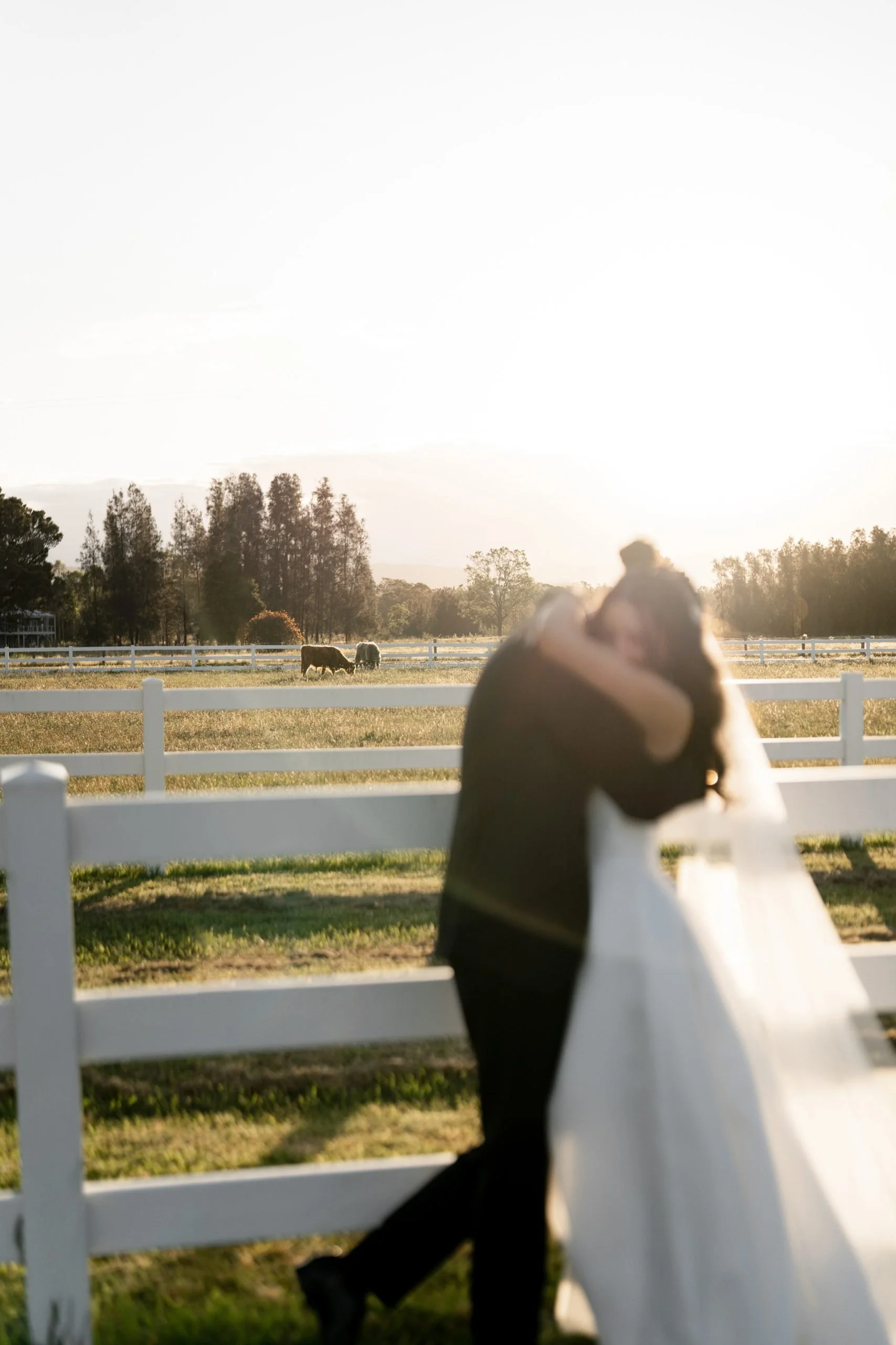 SaltAtelier_SydneyWeddingPhotography_SydneyWeddingPhotographer_DarkHorseVineyard_ElysiaSamuel_90-scaled.jpg