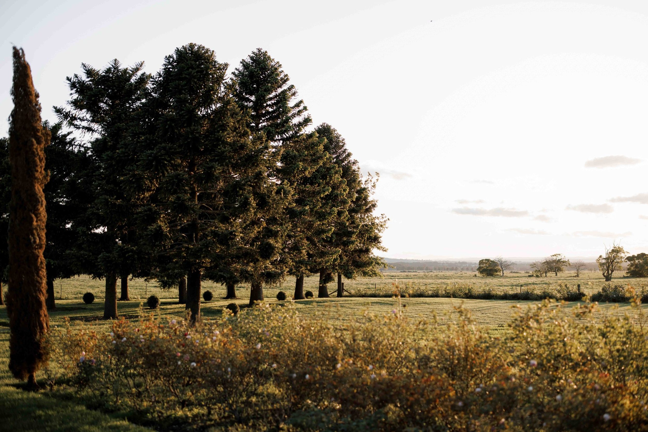 SaltAtelier_SydneyWeddingPhotographer_SydneyWeddingPhotography_MerribeeGardens_AileenJoshua_37-scaled.jpg
