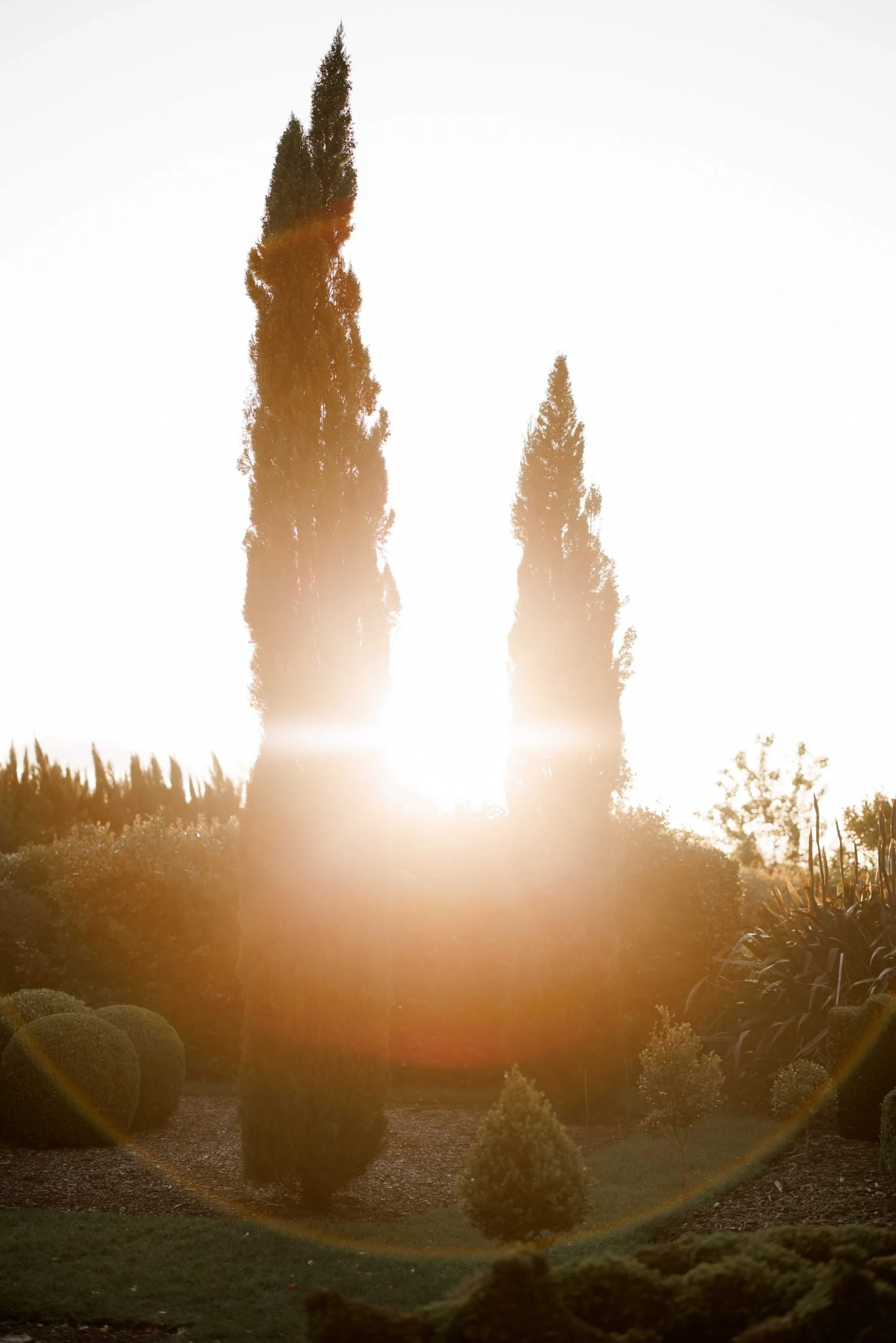SaltAtelier_SydneyWeddingPhotographer_SydneyWeddingPhotography_MerribeeGardens_AileenJoshua_36-scaled.jpg