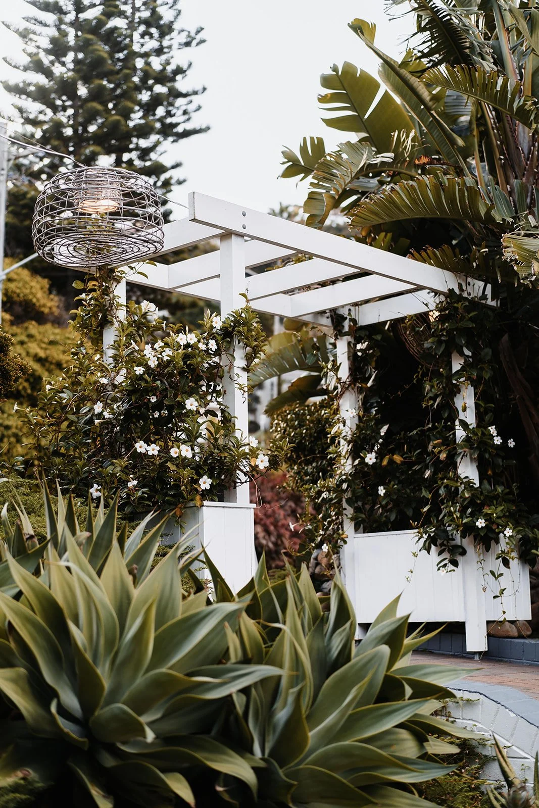 SaltAtelier_SydneyWeddingPhotographer_MobyDicksWhaleBeachWeddings_13.jpg