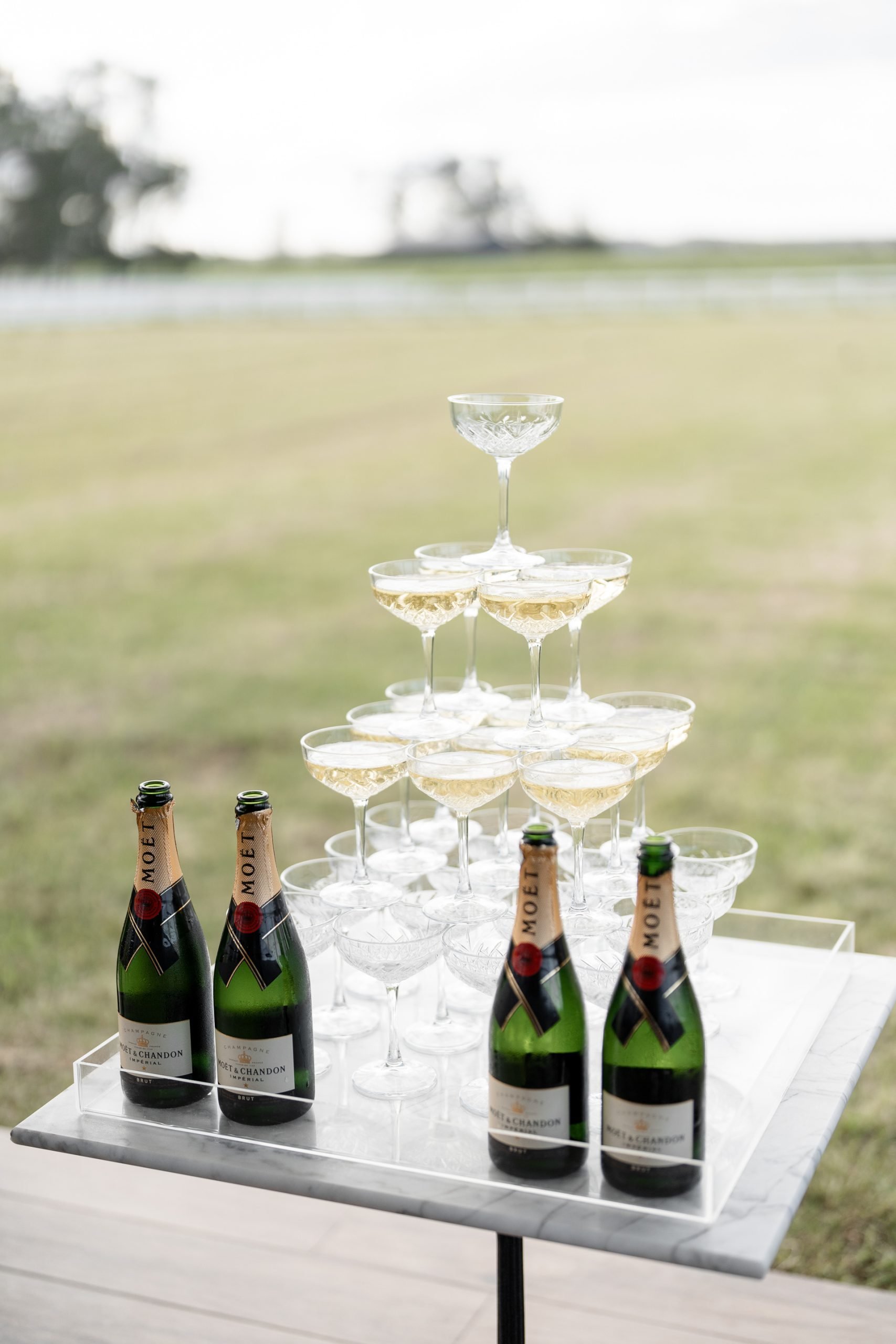 SaltAtelier_SydneyWeddingPhotography_SydneyWeddingPhotographer_DarkHorseVineyard_ElysiaSamuel_76-scaled.jpg