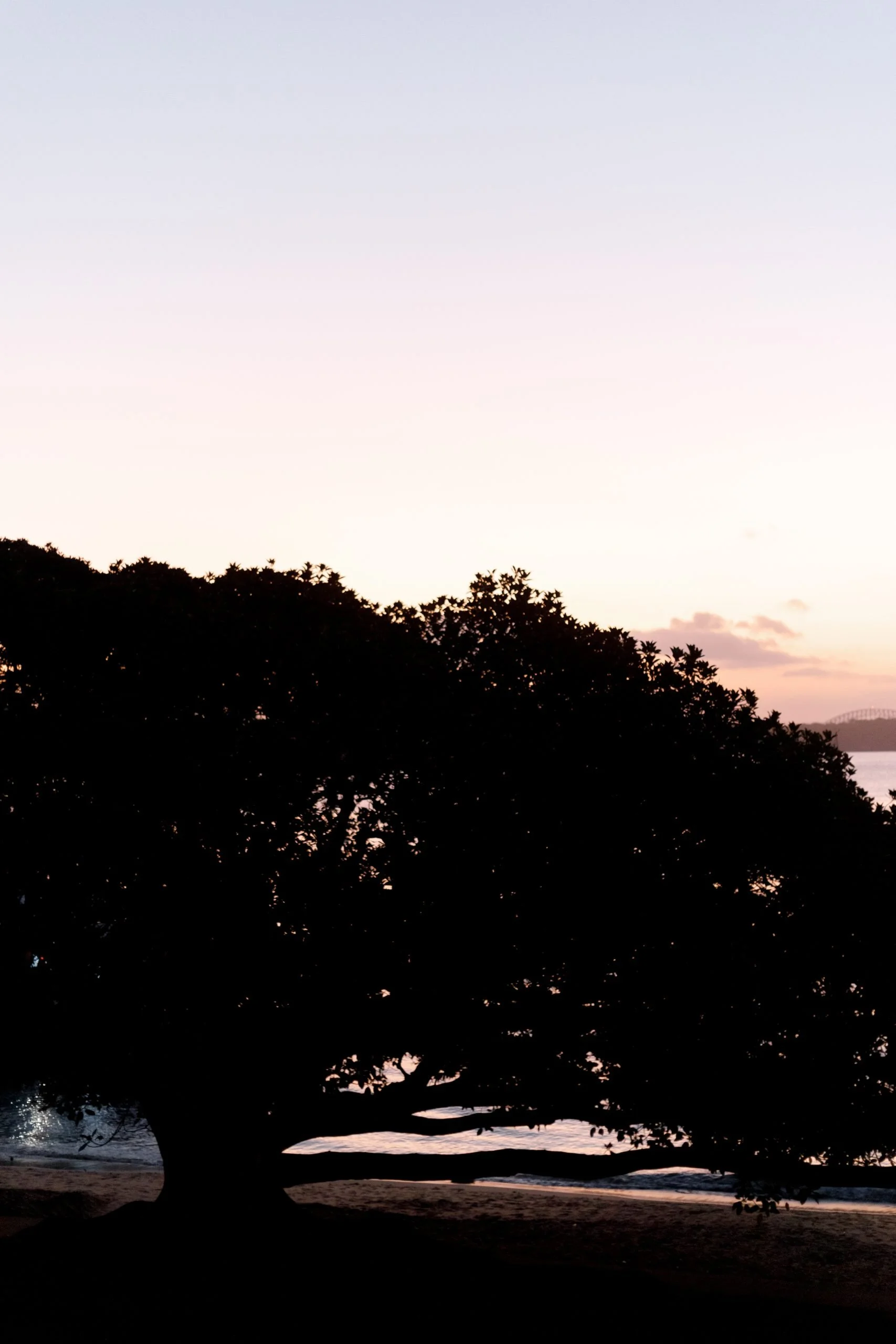 SaltAtelier_SydneyWeddingPhotographer_DunbarHouse_JenniferHarry_79-scaled.jpg