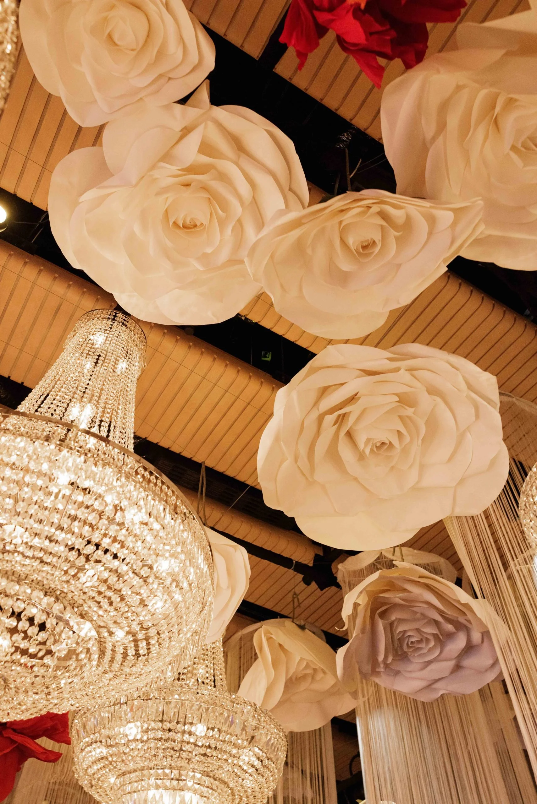 SaltAtelier_SydneyWeddingPhotography_YallamundiRooms_SydneyOperaHouse_AshnaEdward_24-scaled.jpg