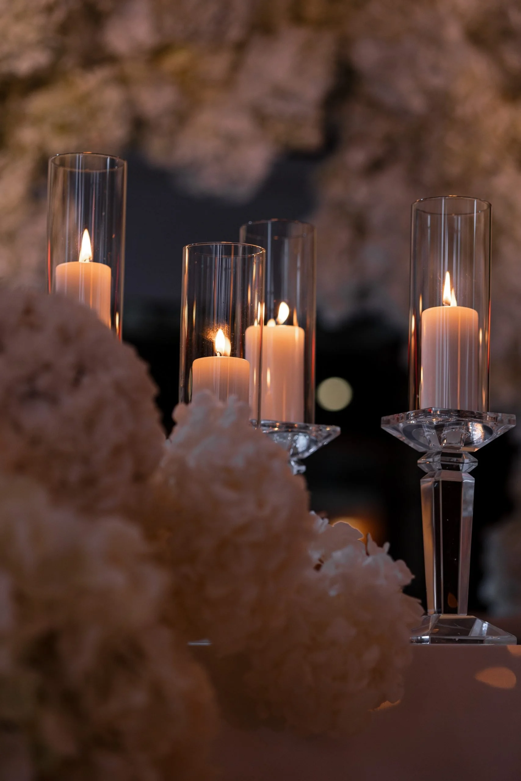 SaltAtelier_SydneyWeddingPhotography_SydneyWeddingPhotographer_Establishment_TalysaJonathan_33-scaled.jpg