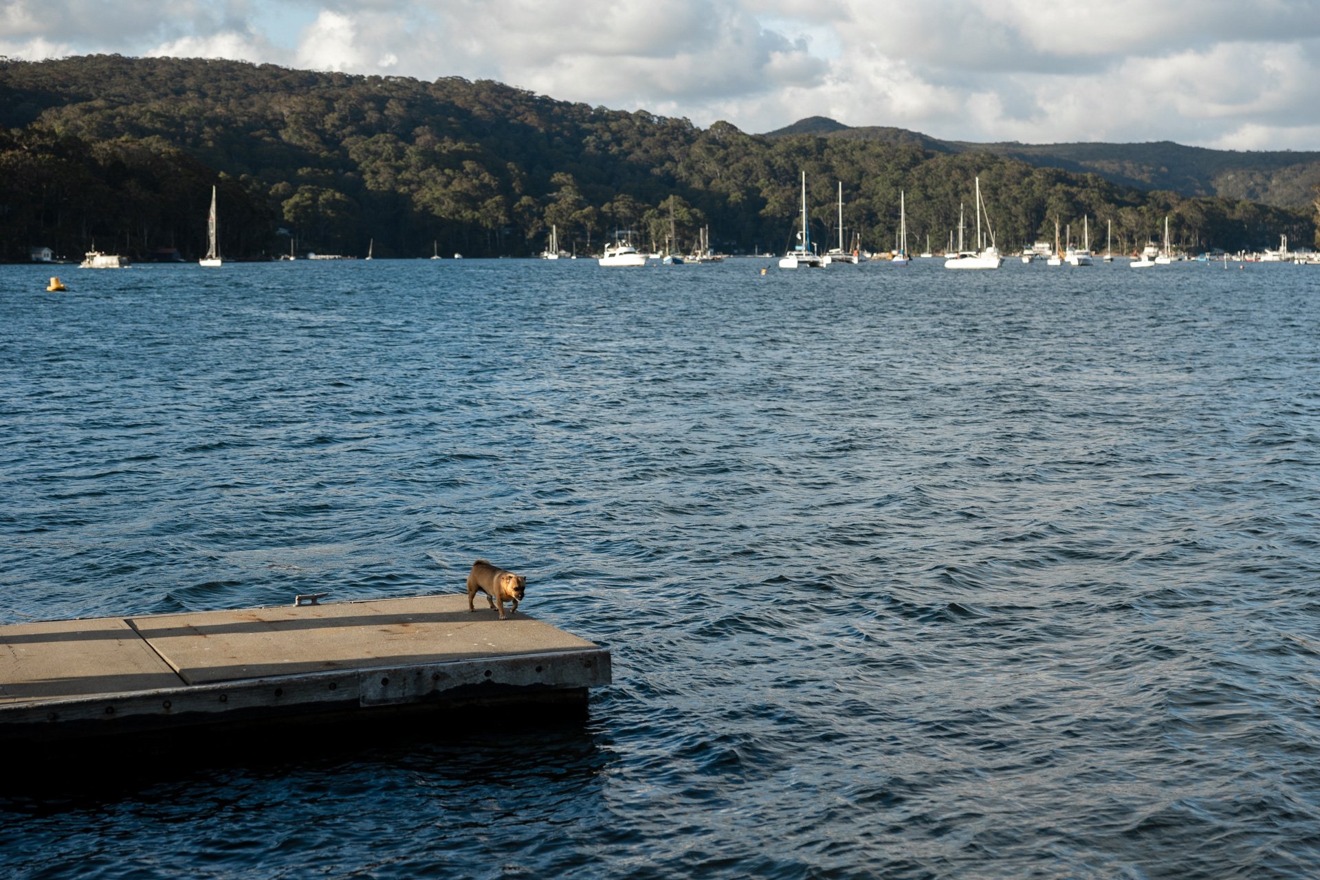SaltAtelier_SydneyWeddingPhotography_SydneyWeddingPhotographer_PasadenaSydney_SianRick_267.jpg