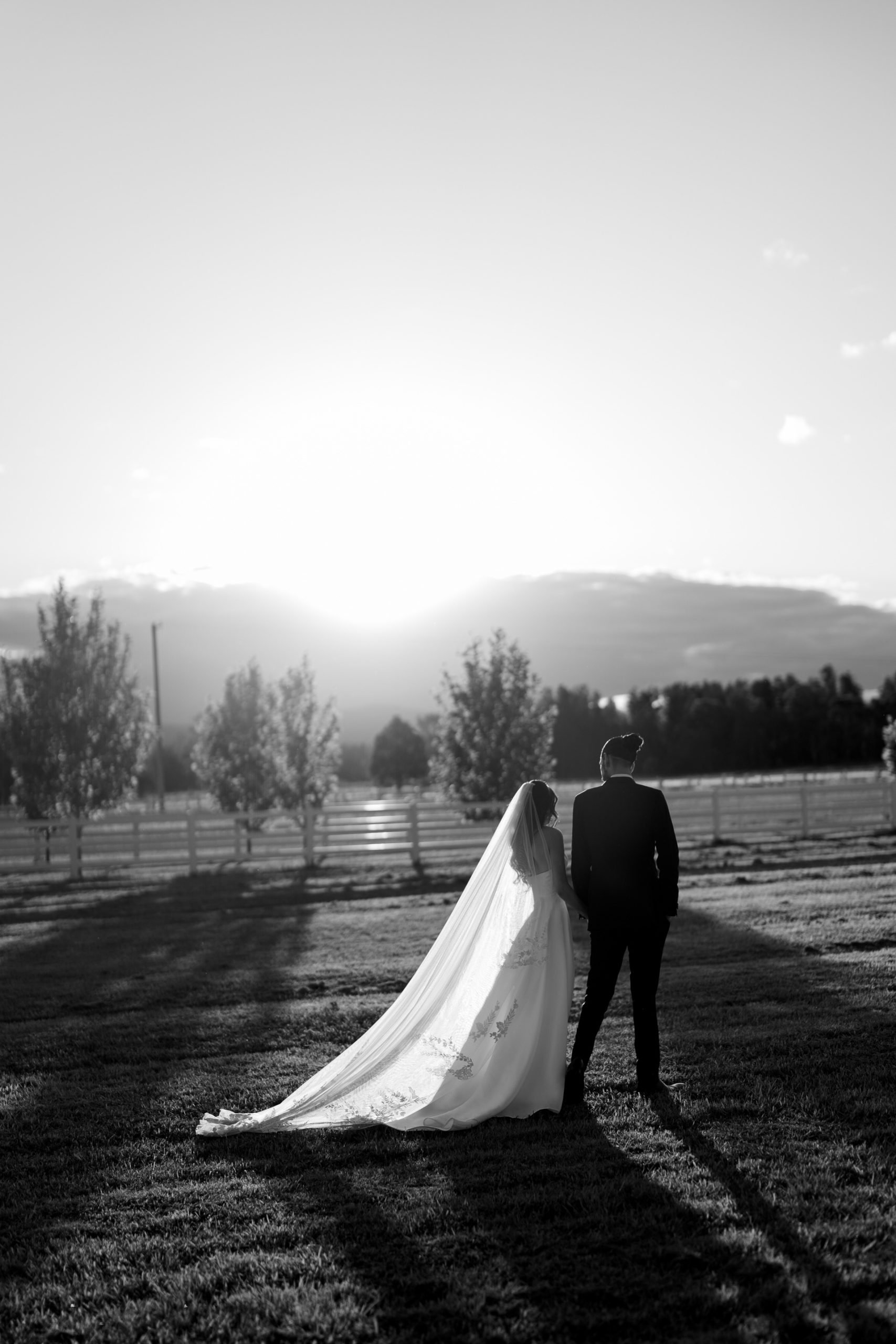 SaltAtelier_SydneyWeddingPhotography_SydneyWeddingPhotographer_DarkHorseVineyard_ElysiaSamuel_93-scaled.jpg