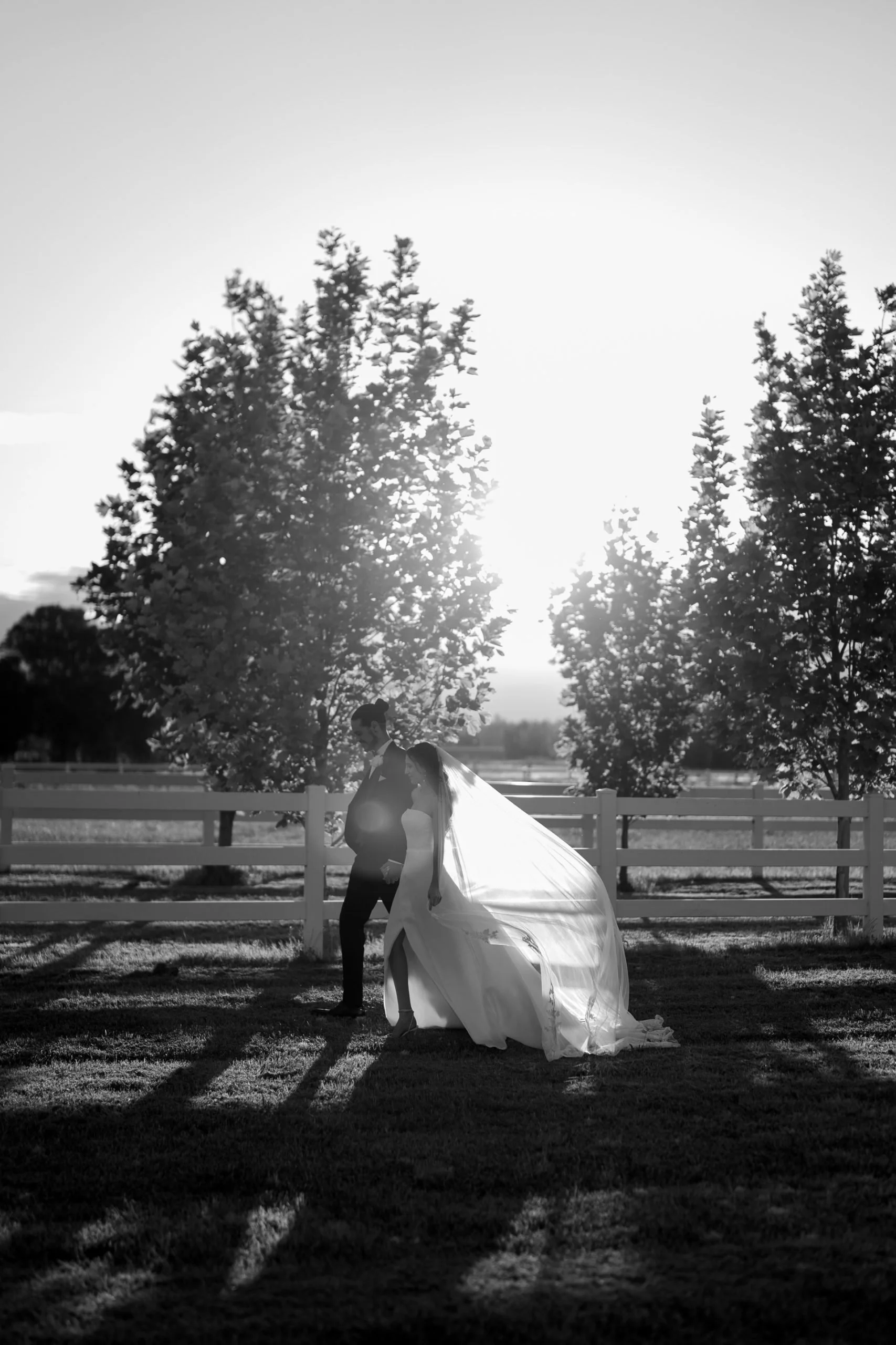 SaltAtelier_SydneyWeddingPhotography_SydneyWeddingPhotographer_DarkHorseVineyard_ElysiaSamuel_92-scaled.jpg