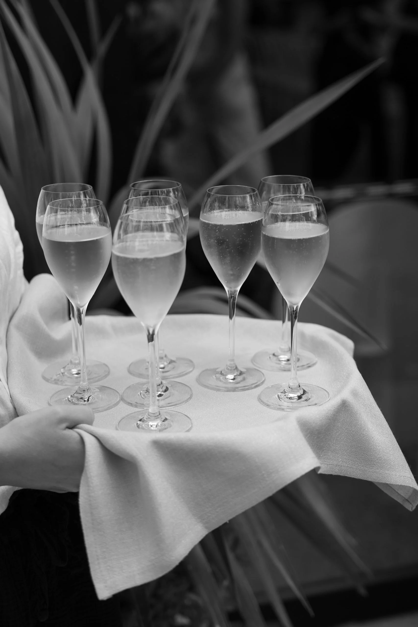 SaltAtelier_SydneyWeddingPhotography_SydneyWeddingPhotographer_PasadenaSydney_SianRick_150-scaled.jpg
