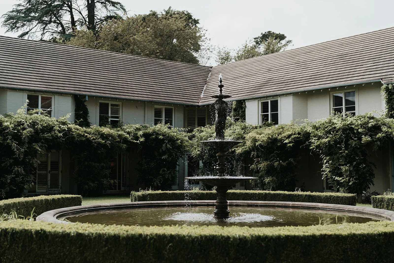 SaltAtelier_SydneyWeddingPhotography_SydneyWeddingPhotographer_MiltonParkCountryHouse_DoraPatrick_1.jpg