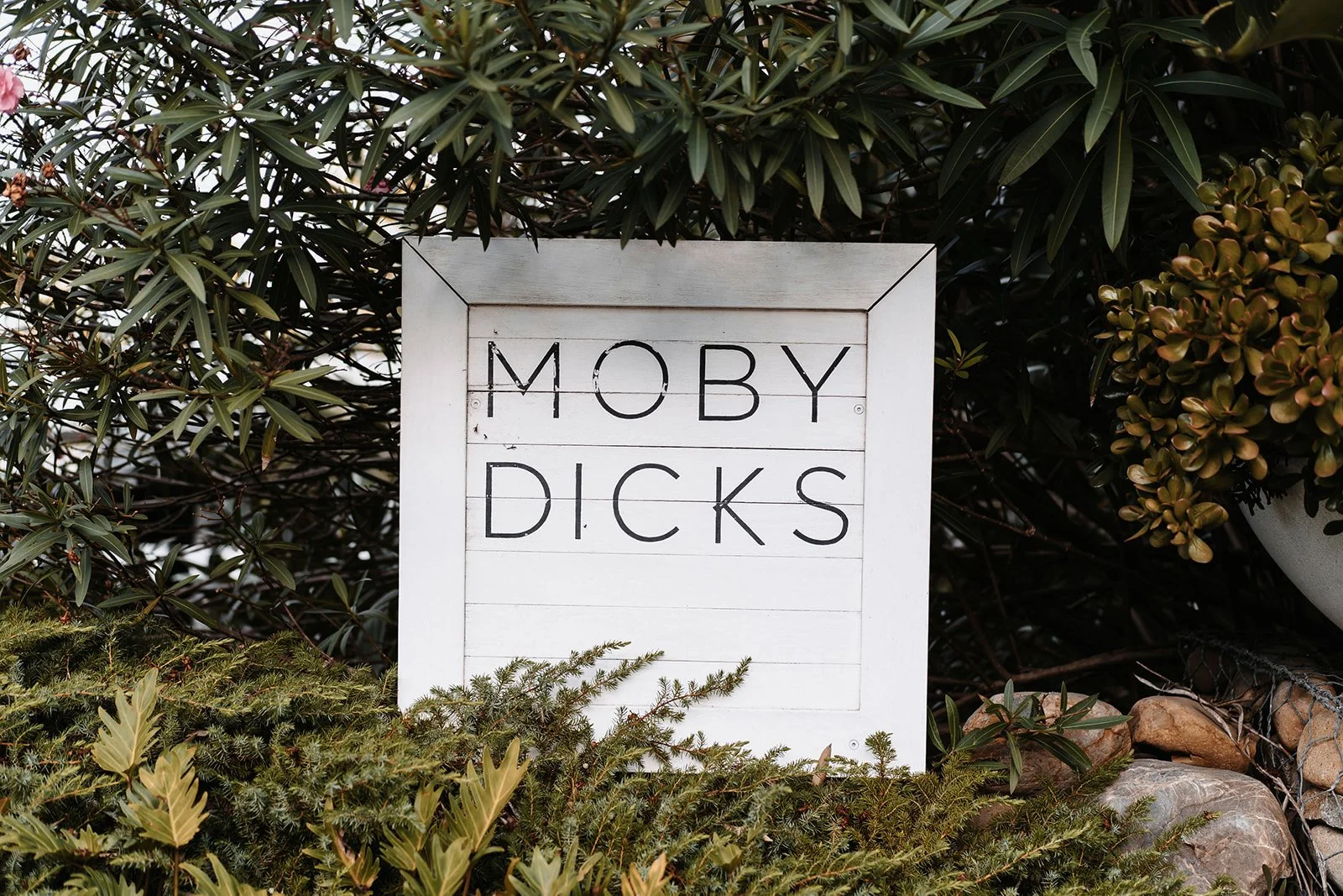 SaltAtelier_SydneyWeddingPhotographer_MobyDicksWhaleBeachWeddings_11.jpg