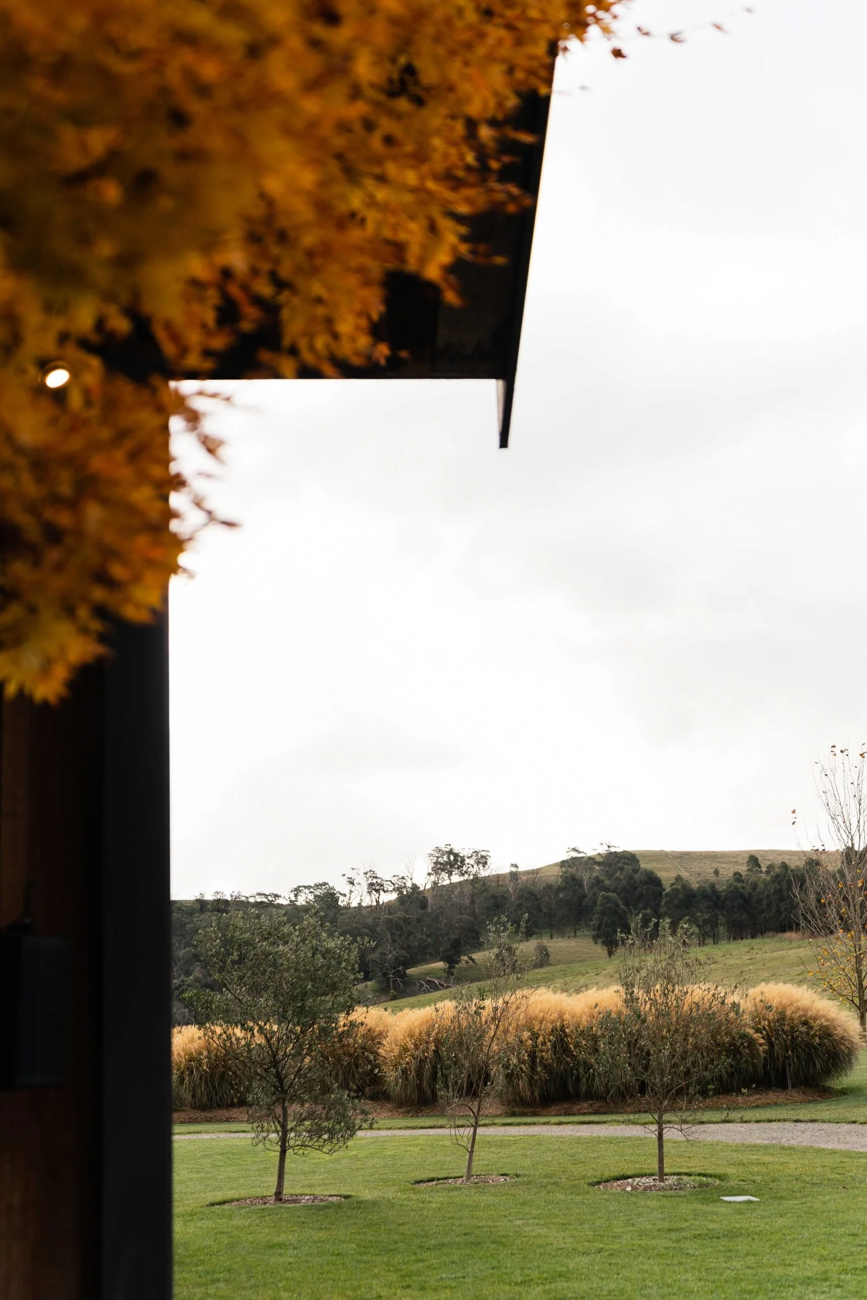 SaltAtelier_SydneyWeddingPhotographer_WeddingVenue_BendooleyEstate_17-scaled.jpg