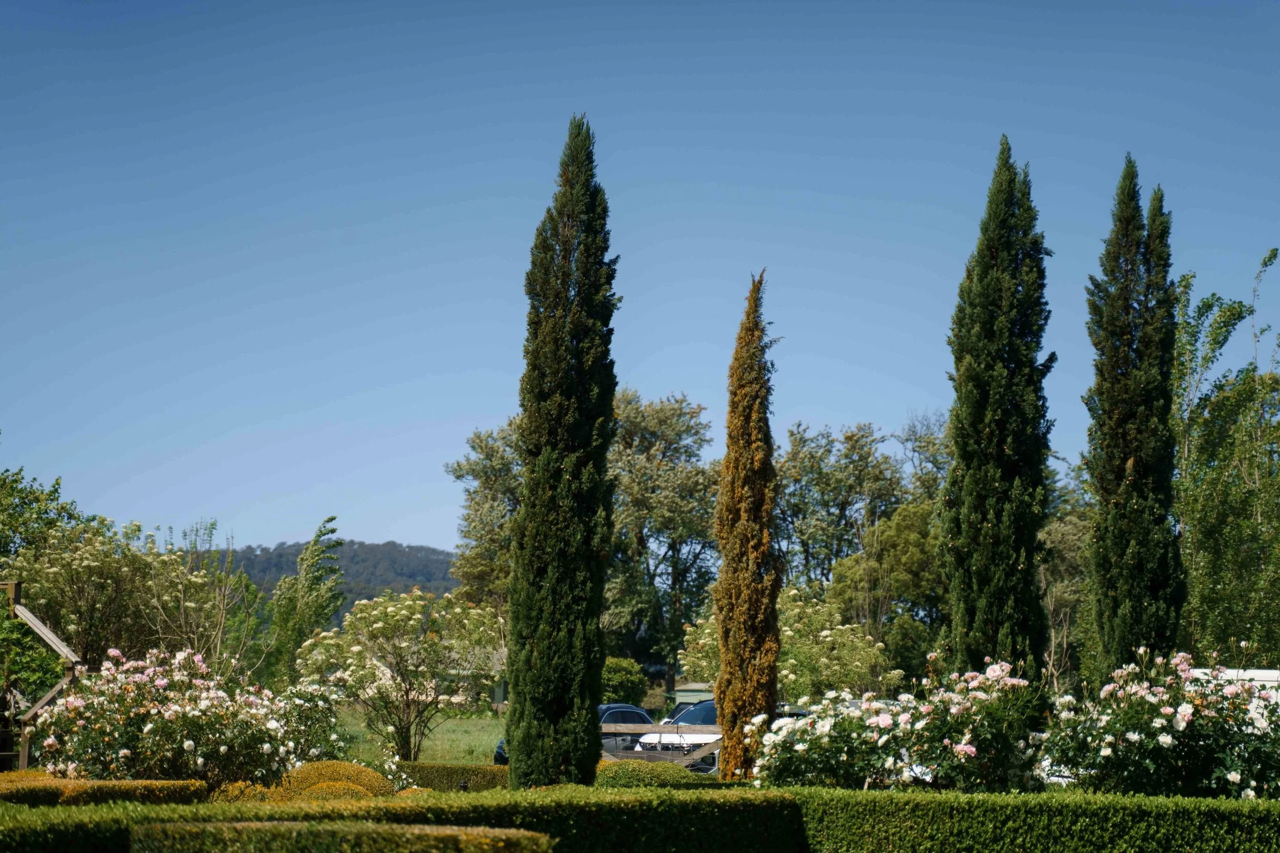 SaltAtelier_SydneyWeddingPhotographer_SydneyWeddingPhotography_MerribeeGardens_AileenJoshua_46-scaled.jpg