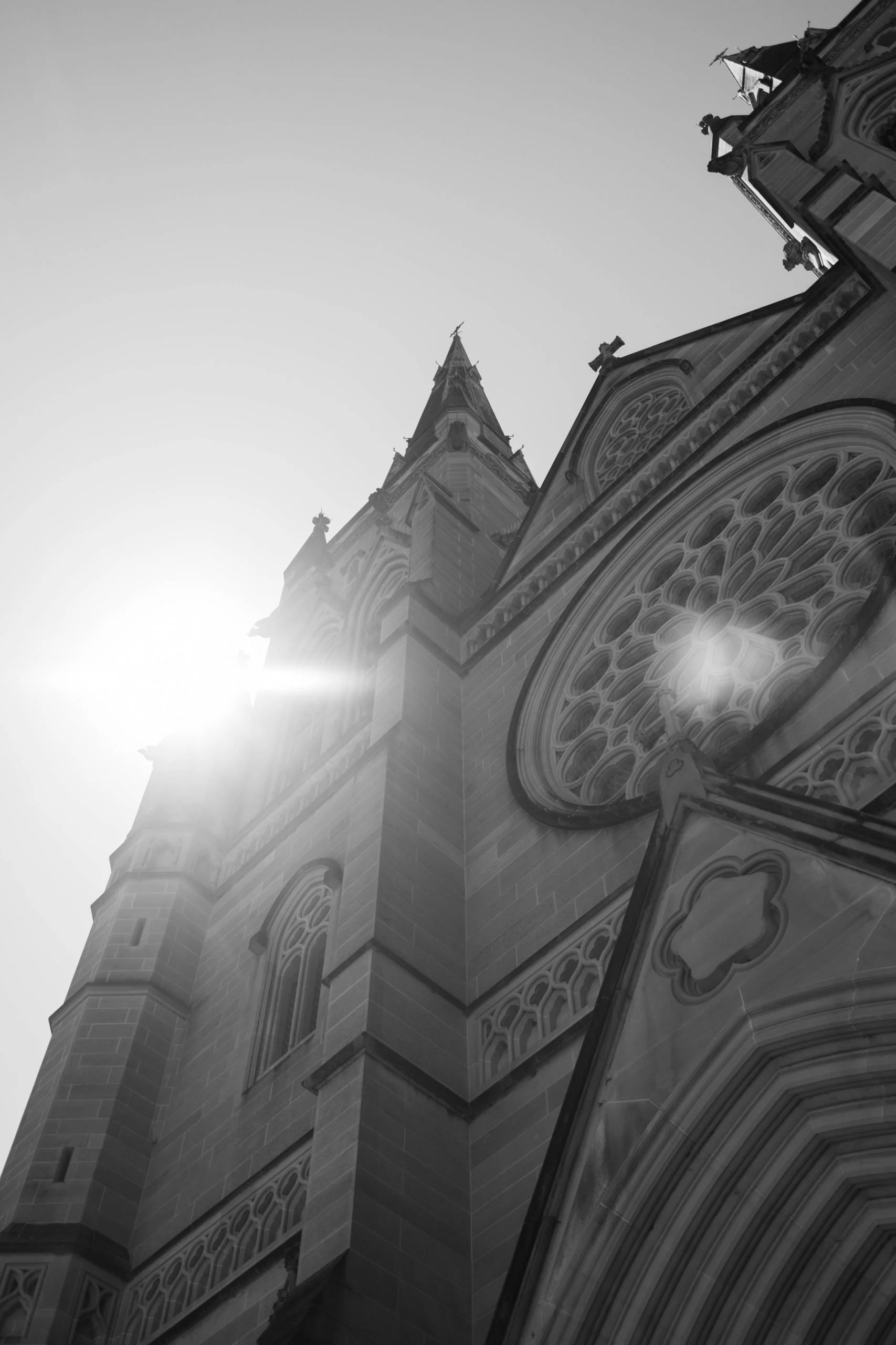 SaltAtelier_SydneyWeddingPhotographer_SydneyWeddingPhotography_TheGreatHall_ShaghayeghJordan_61-scaled.jpg