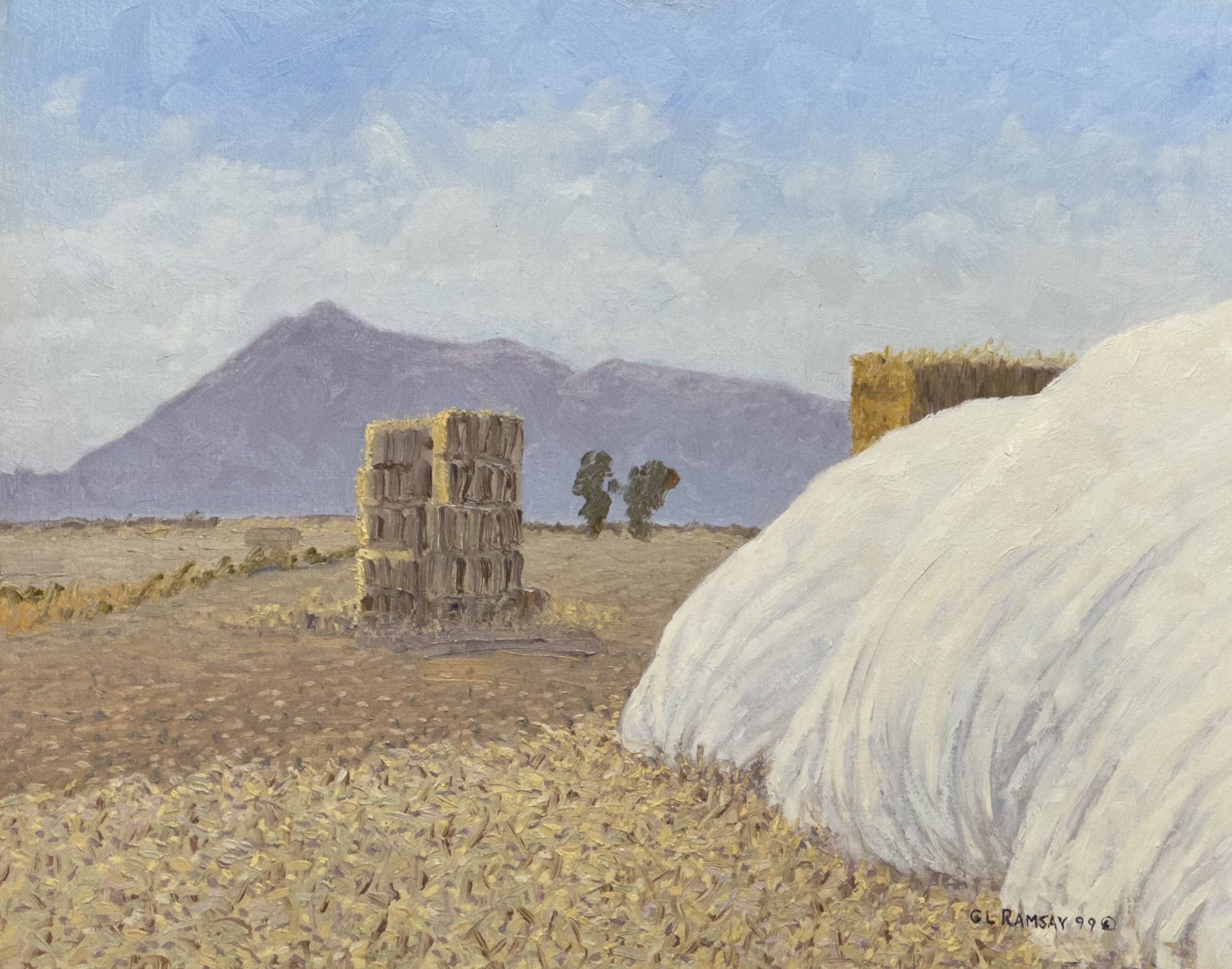 Mt Tam and Haystacks