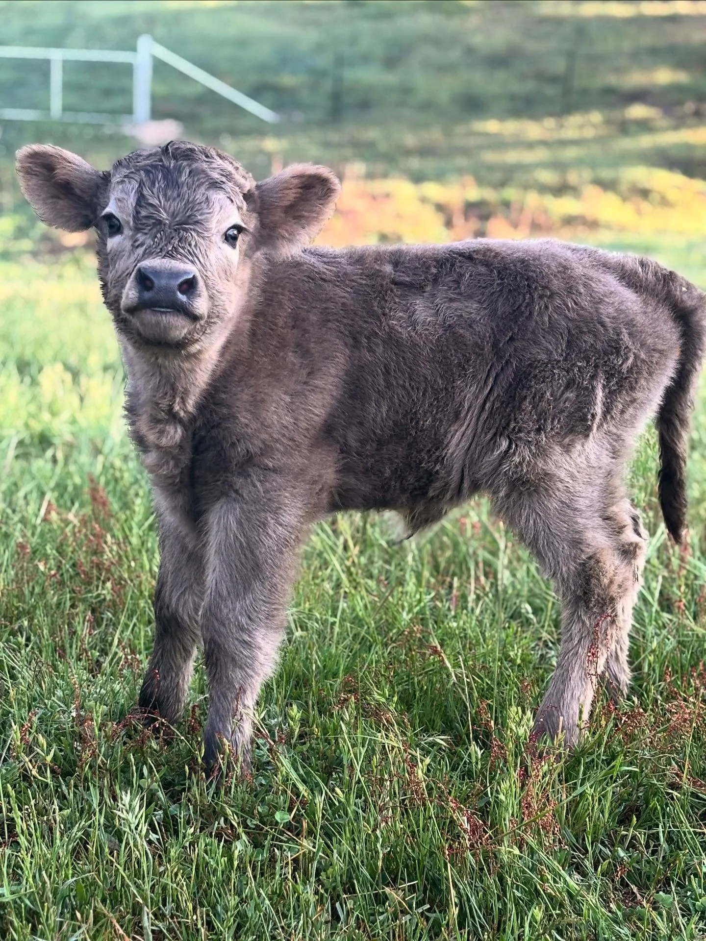 Well if it isn&rsquo;t the most beautiful thing I ever did see