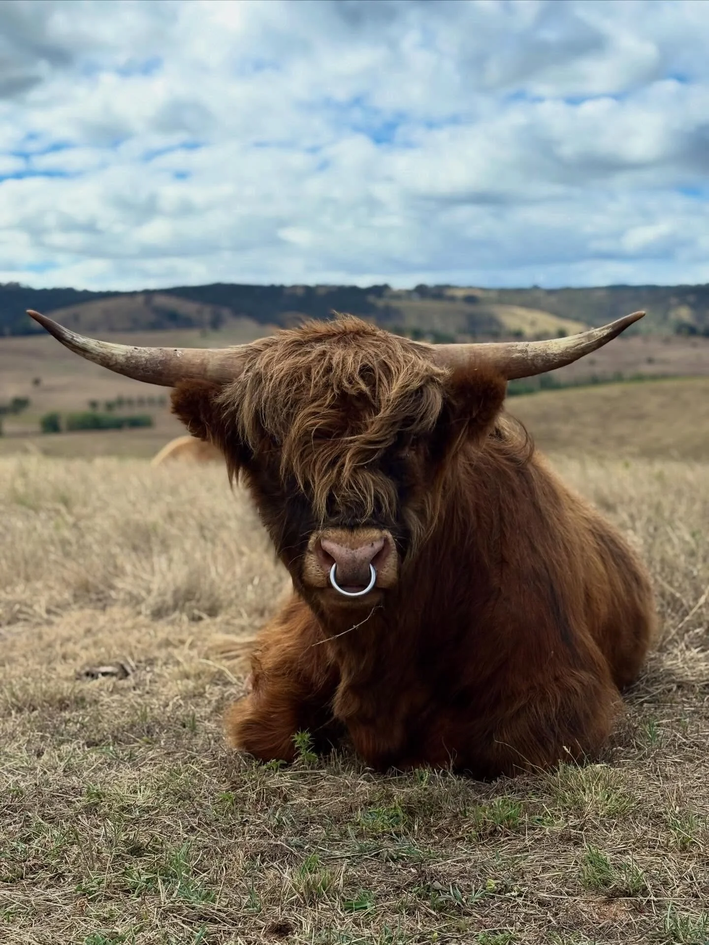 ⭐️ Philip 2nd of Yatarna ⭐️