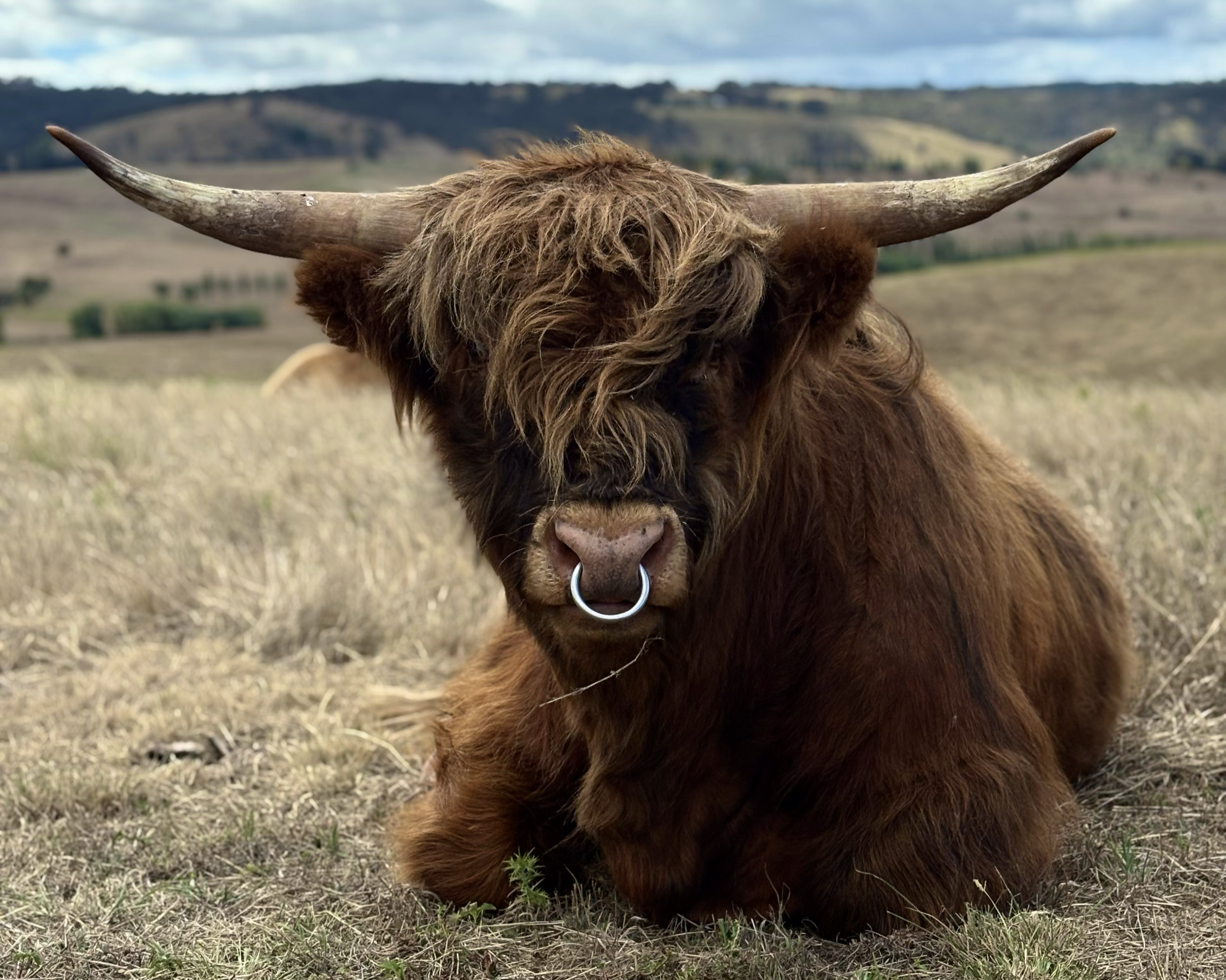 Philip 2nd of Yatarna