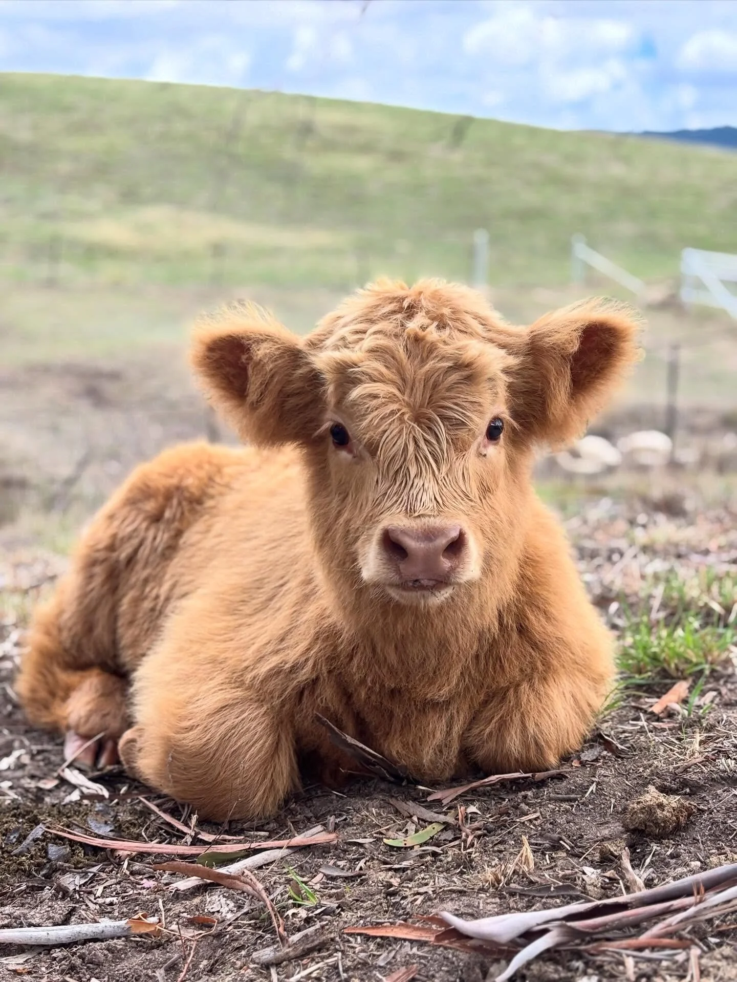 Is that a teddy bear I spot or is it little Evie? 🧸