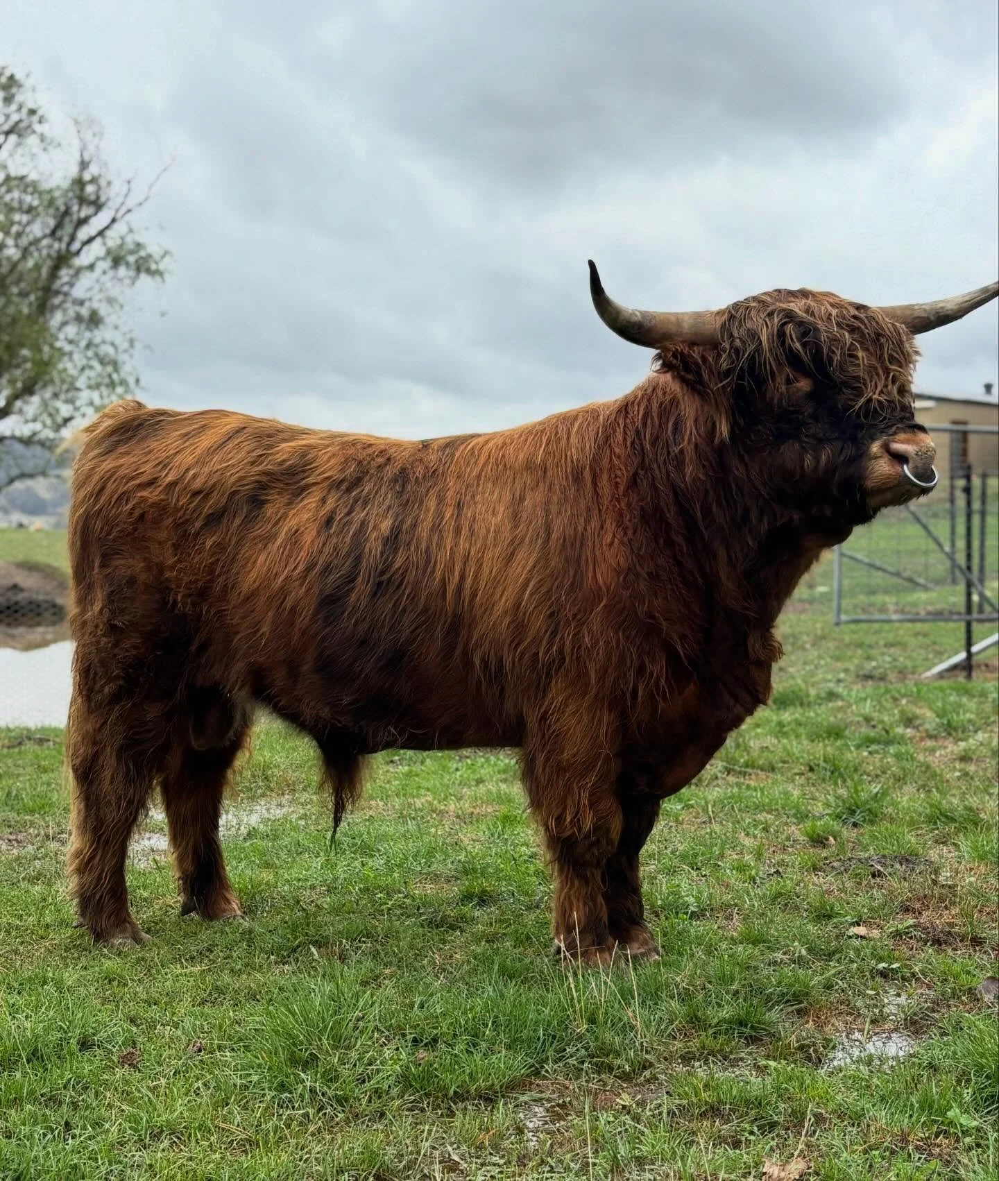 Philly boy is filling out 💪