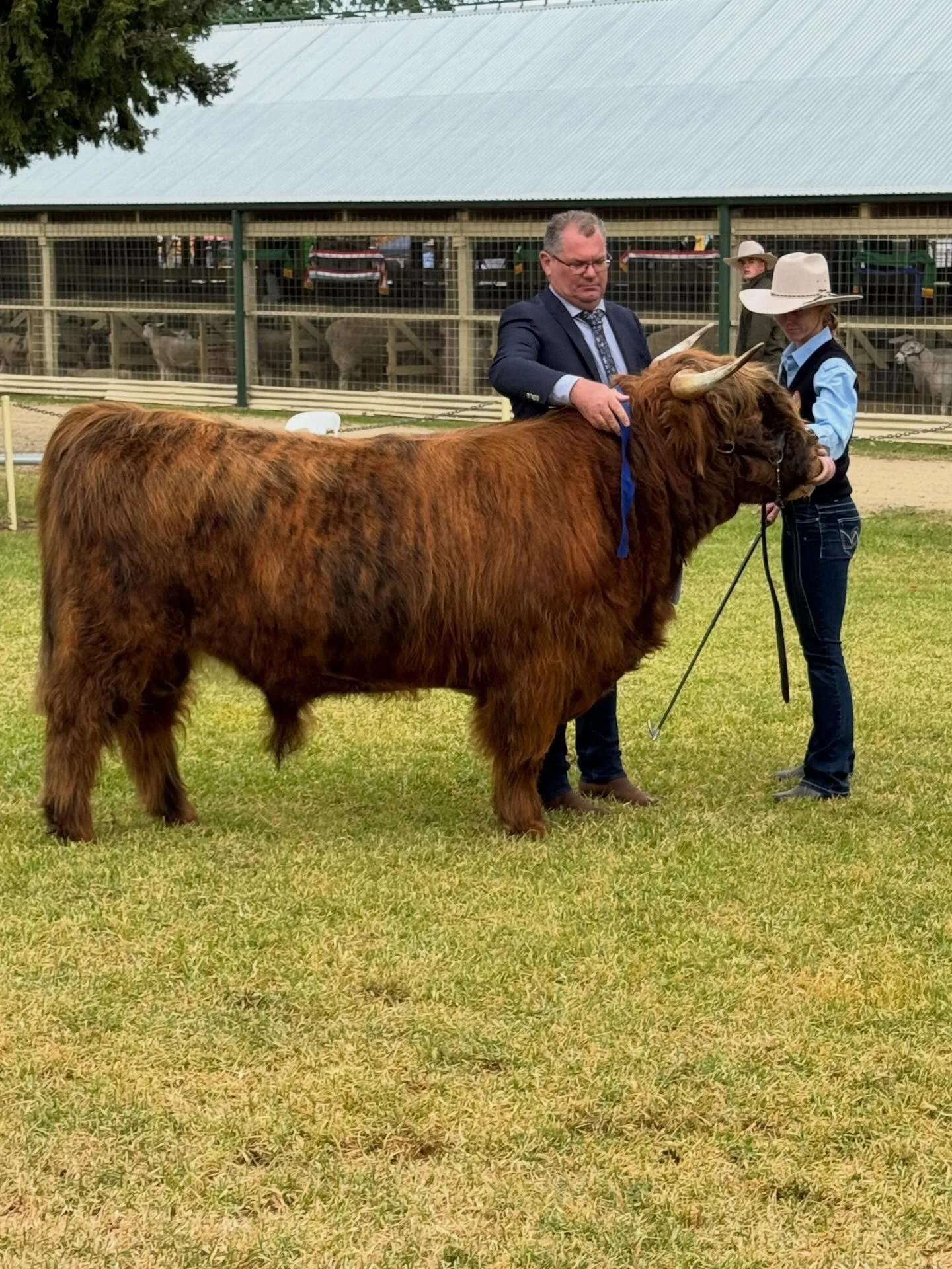 Wow wow wow what a weekend! 
Bonnie Glen took on Bathurst show and boy oh boy we couldn&rsquo;t be prouder of our little team! Phil, Ailsa and Charlotte strutted their stuff, flaunting their Bonnie Glen brand of Je ne sais quoi with poise, grace and 