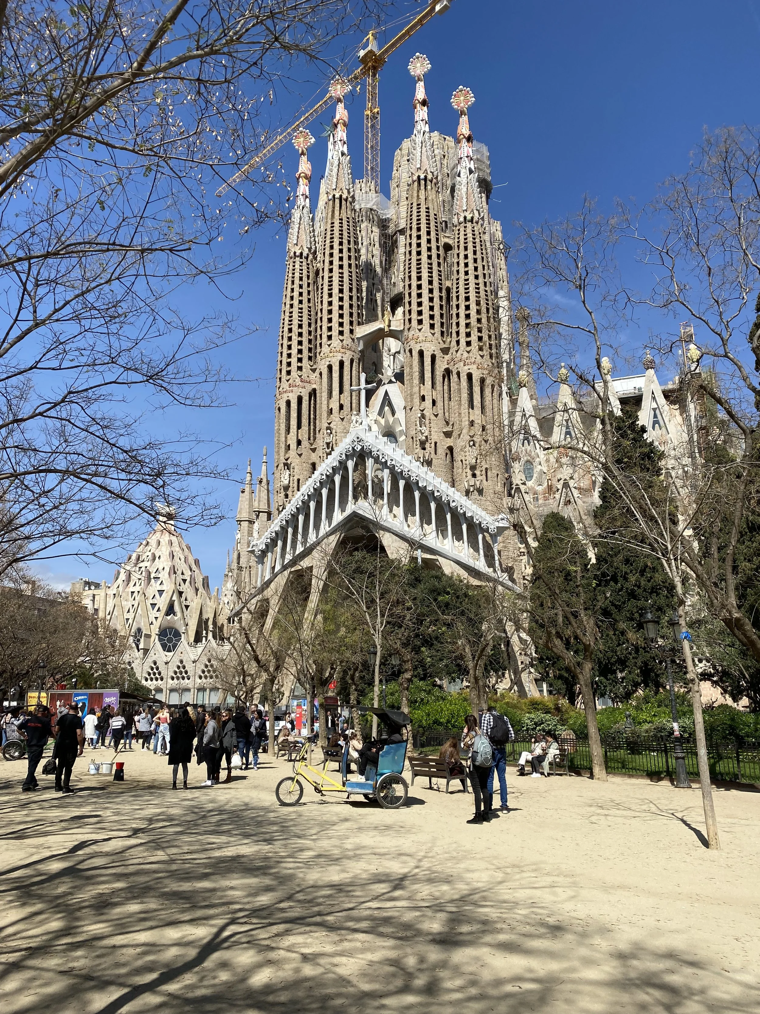 IMG_0869.jpeg