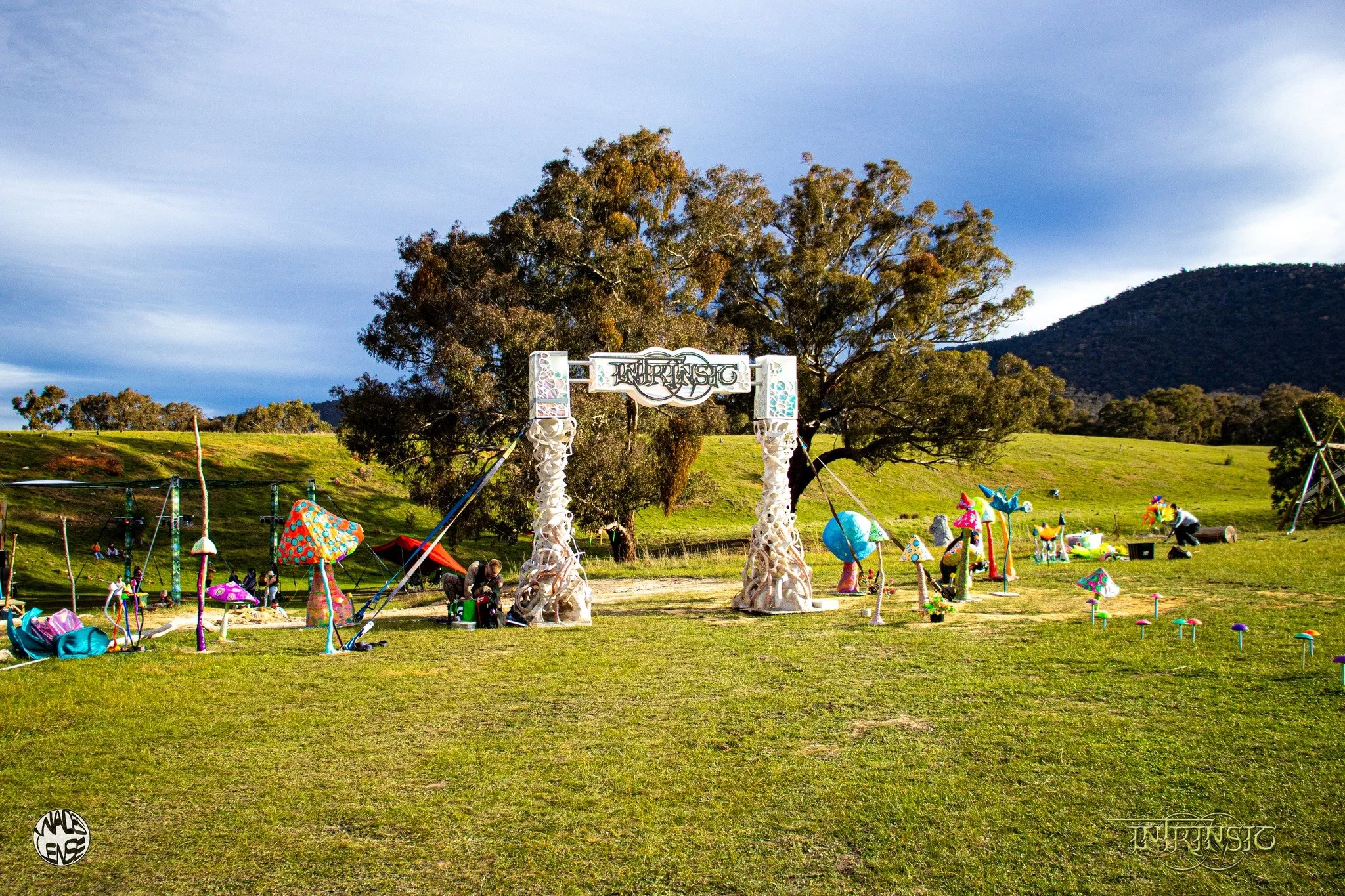 Intrinsic Gathering - 2024 