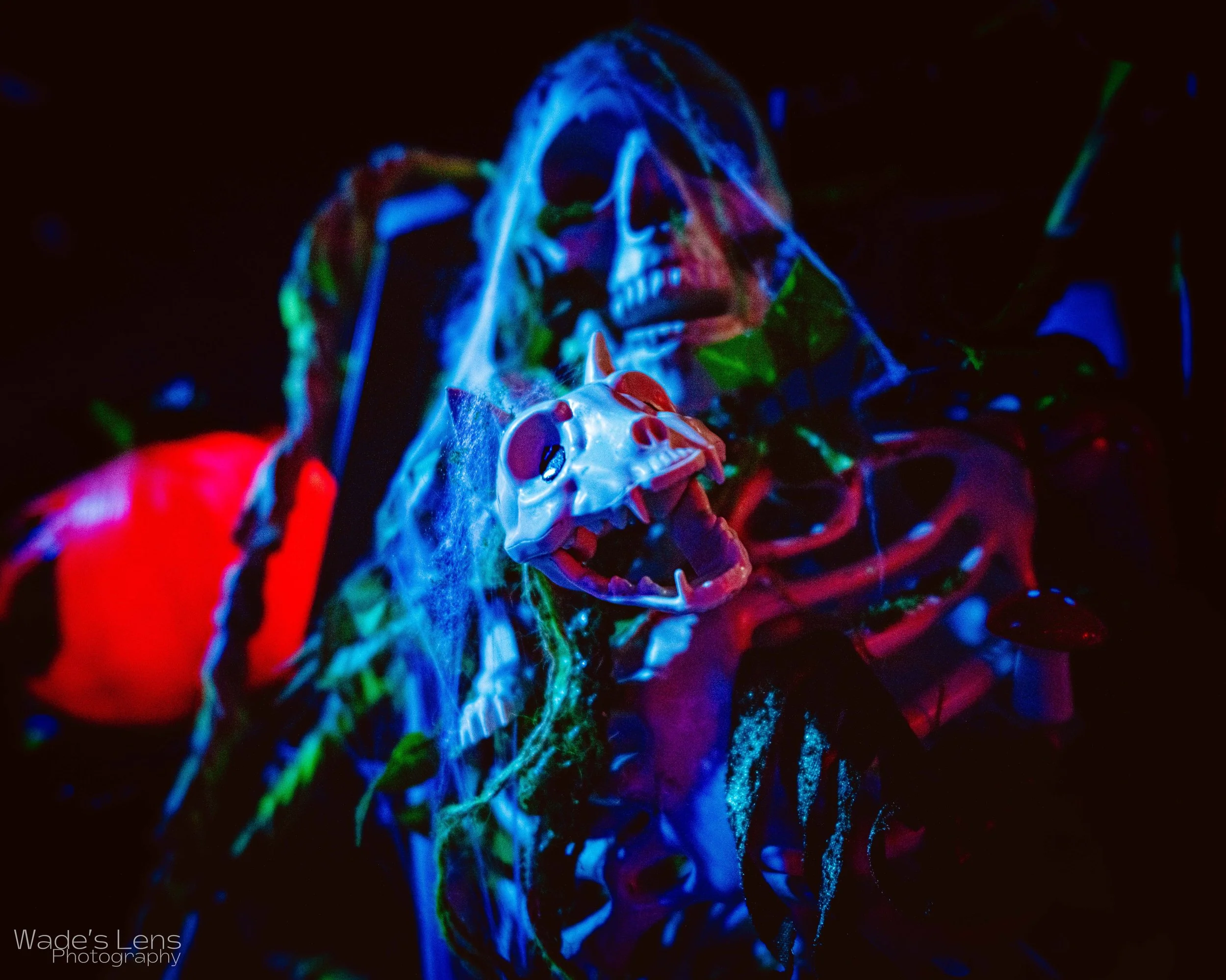 Halloween003.jpg