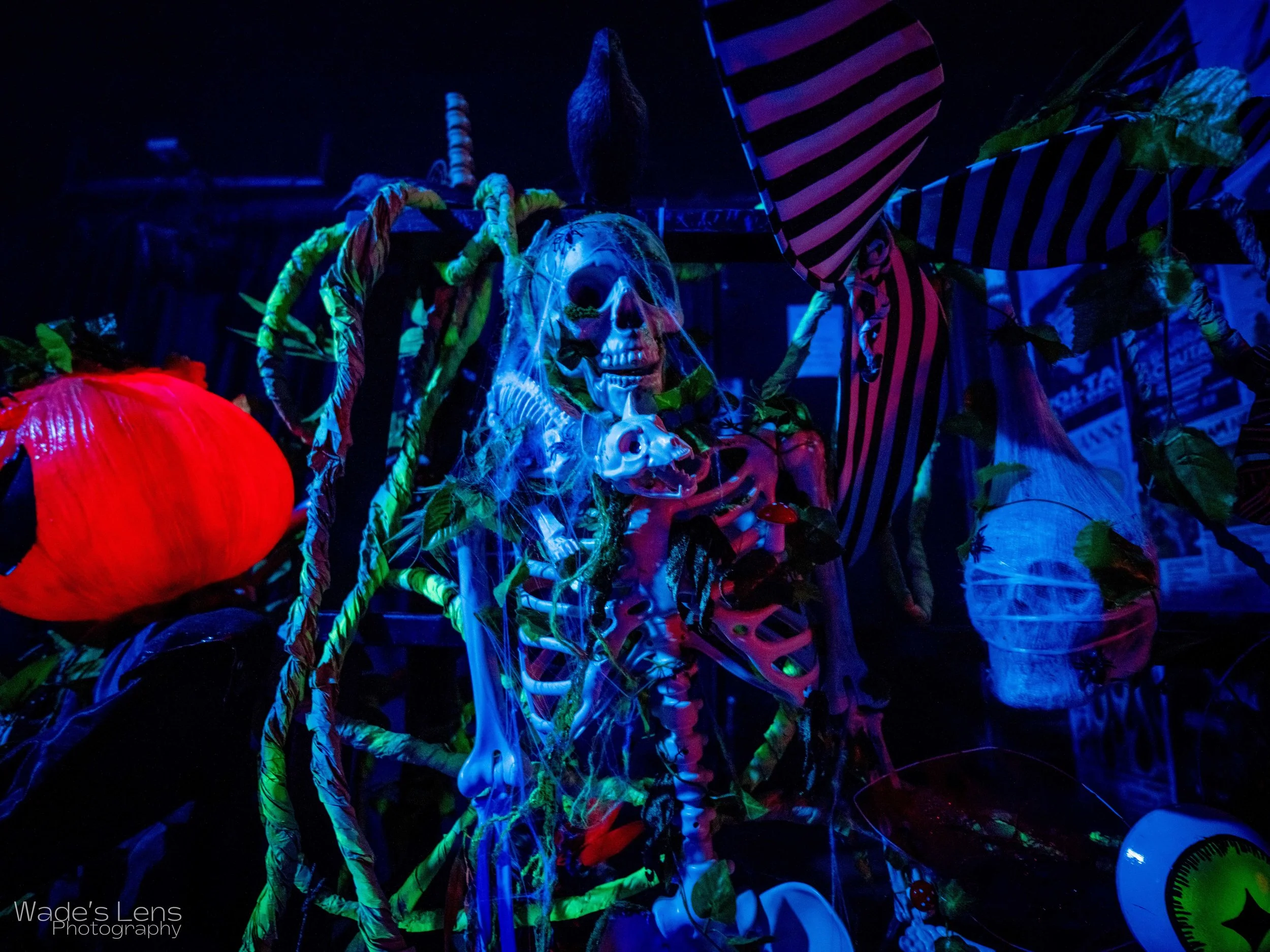 Halloween137 (1).jpg