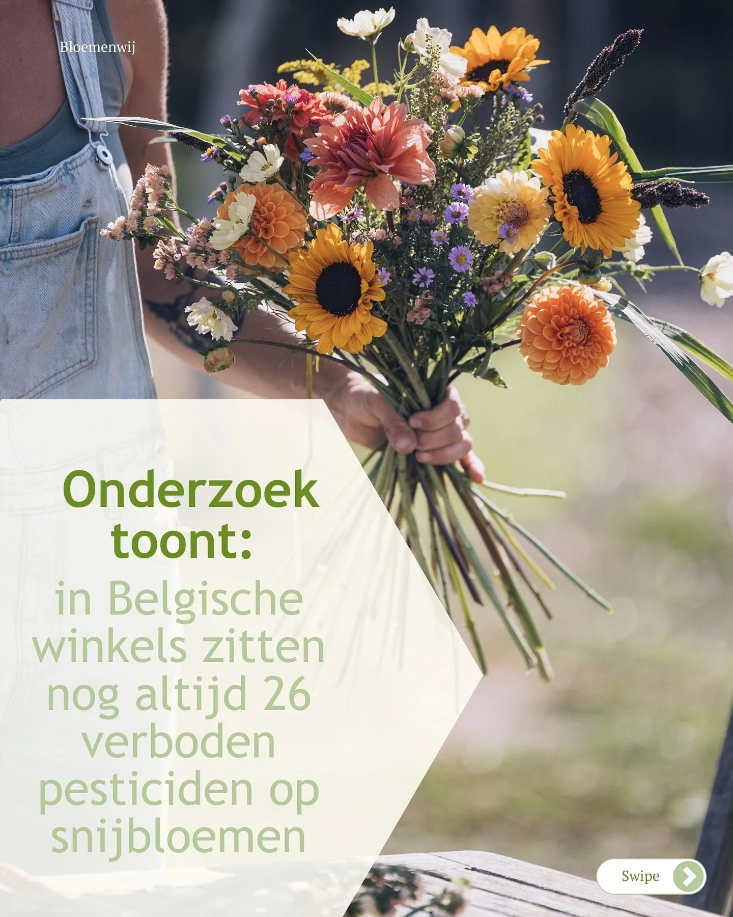 &ldquo;Draag handschoenen als je een boeket vastpakt&rdquo;
Onderzoek toont: in Belgische winkels zitten nog altijd 26 verboden pesticiden op snijbloemen.

In het VRT-programma WinWin vonden ze op 6 van de 7 boeketten meerdere pesticiden.
Het enige b