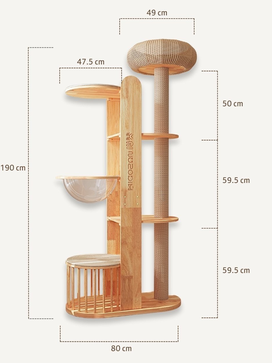 Untitled+design+%2811%29.jpg