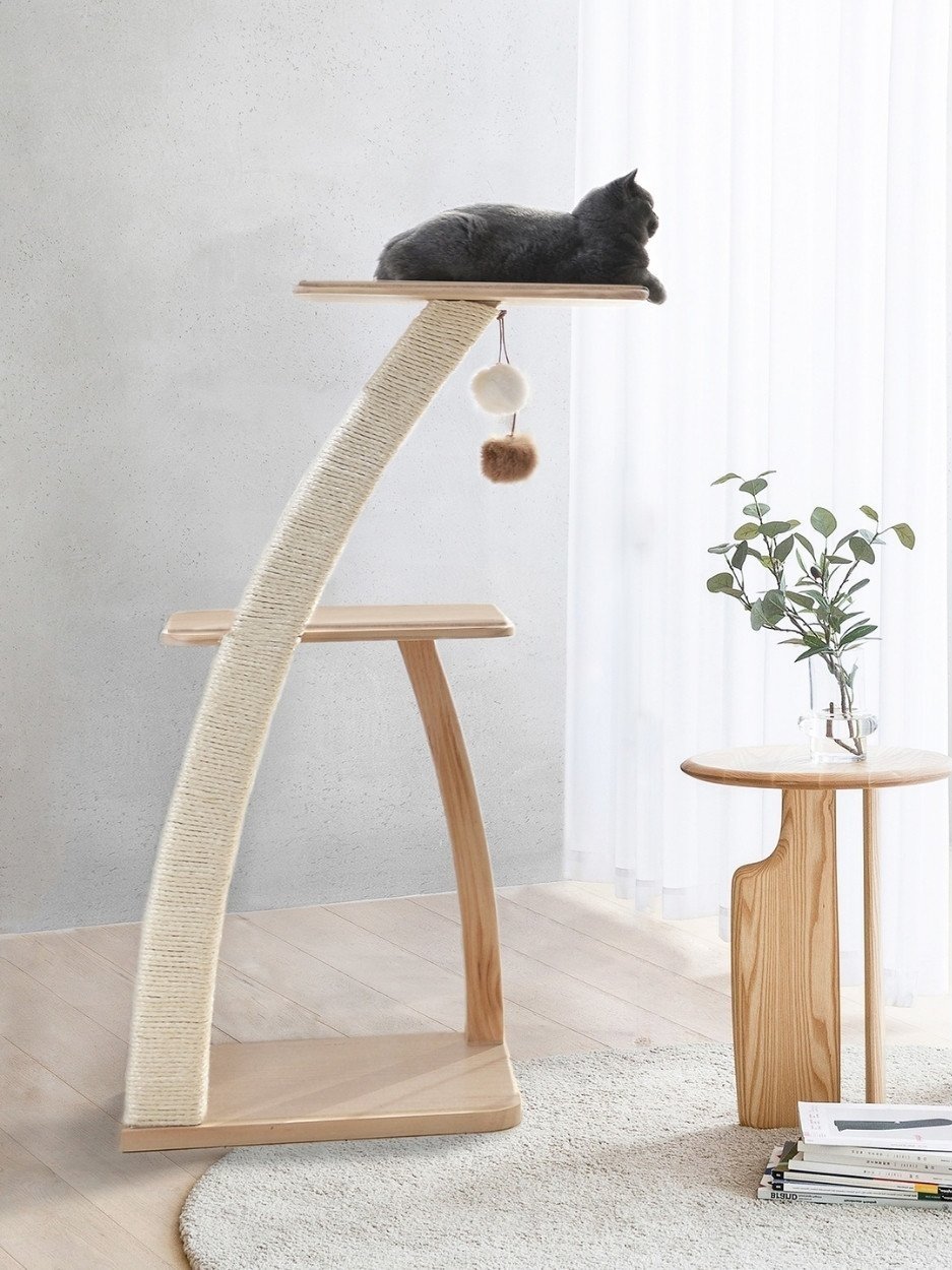 Untitled+design+%2873%29.jpg