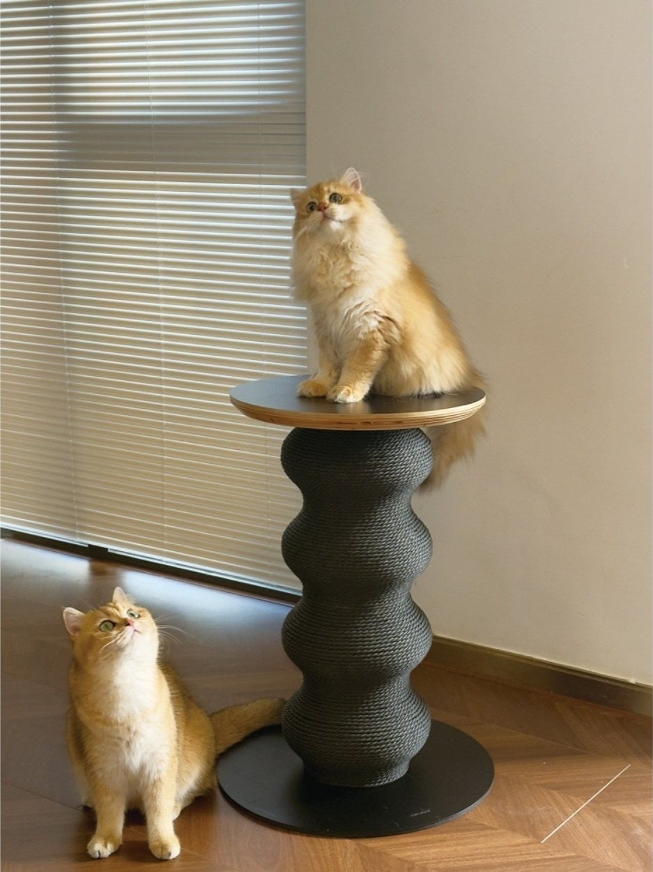 Untitled+design+%2884%29.jpg