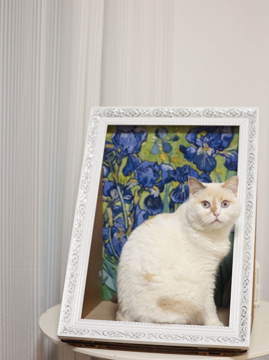 Untitled+design+%2864%29.jpg