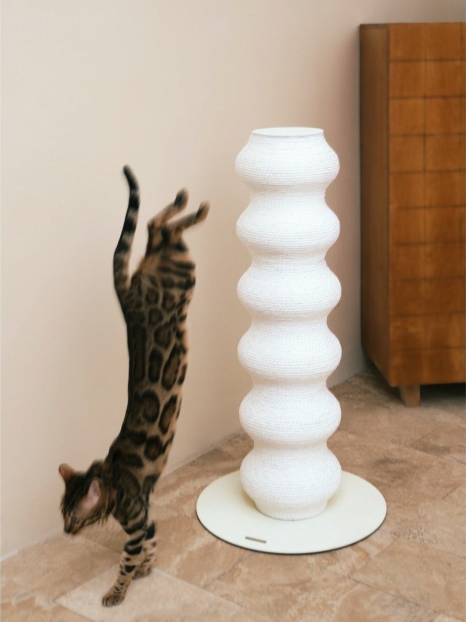 Untitled+design+%2832%29.jpg