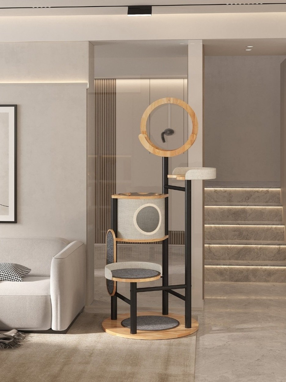 Untitled+design+%2813%29.jpg